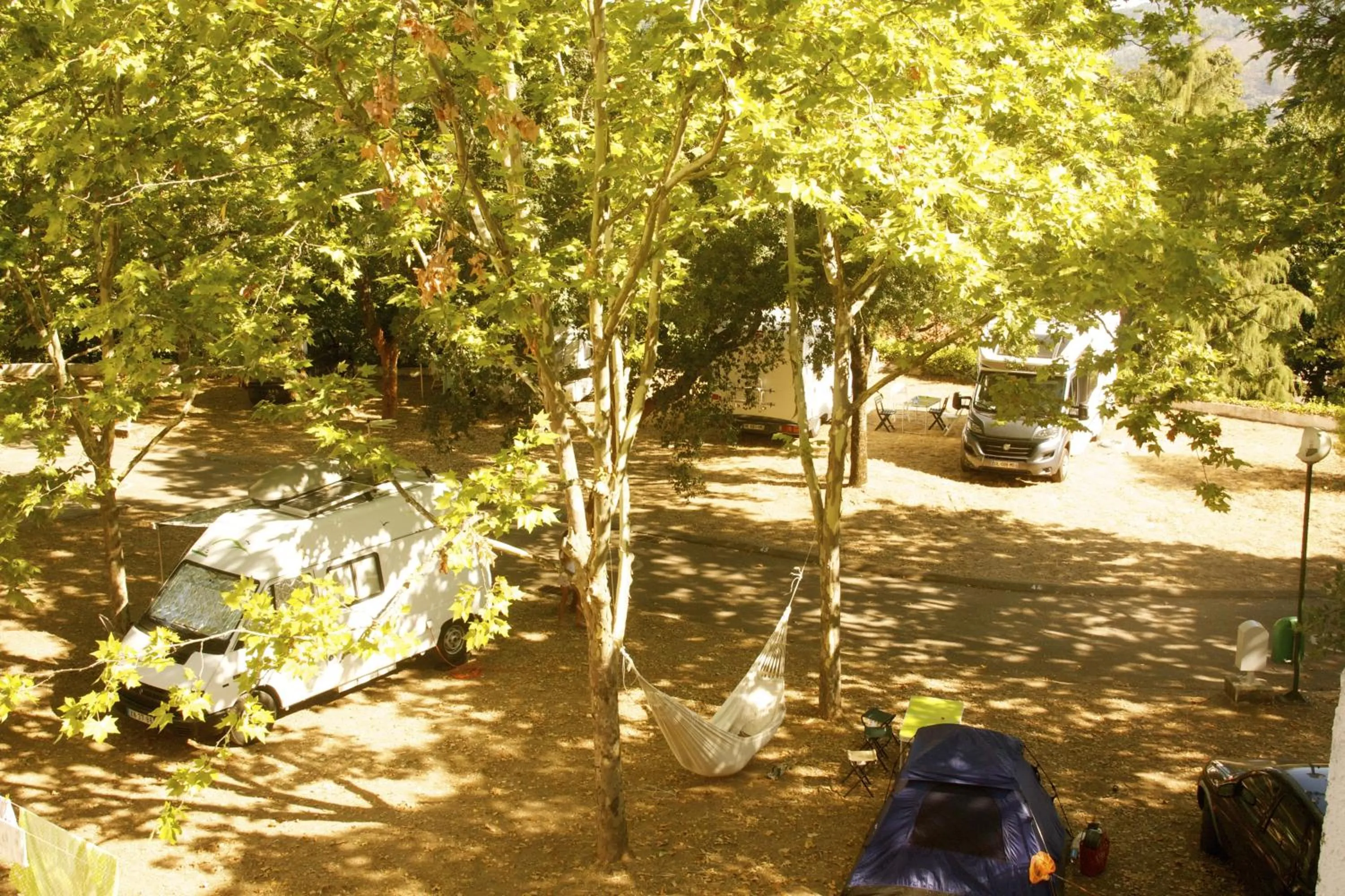 group of guests in Góis Camping