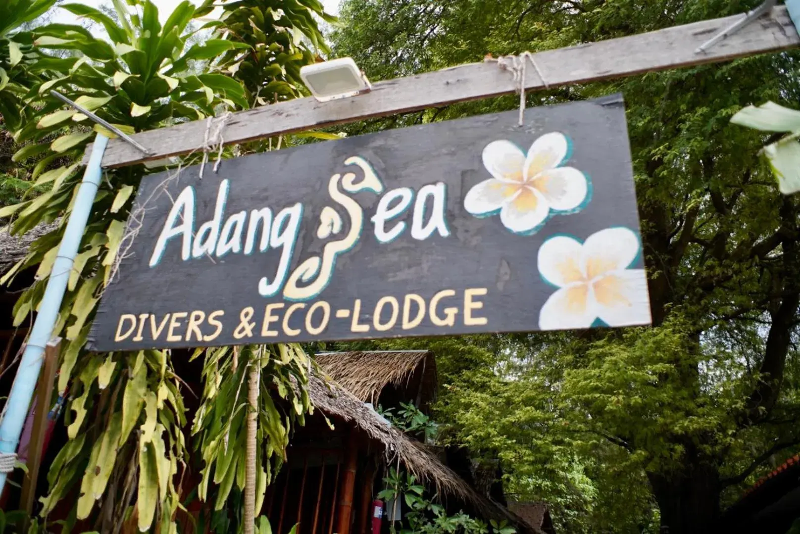 Street view in Adang Sea Divers & Eco Lodge Street view in Adang Sea Divers & Eco Lodge