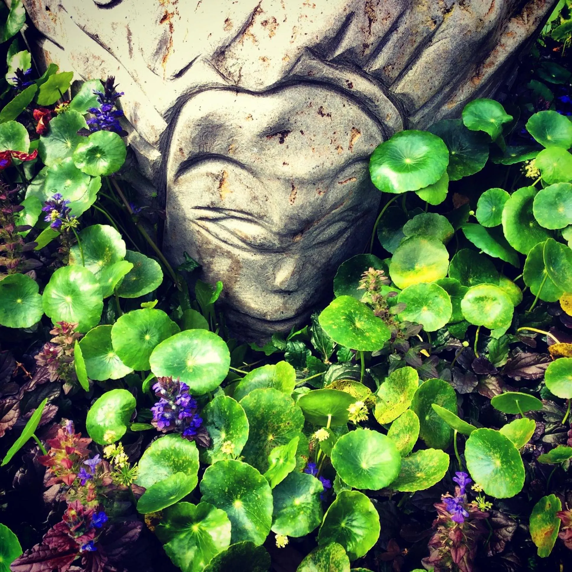 People in Hotel Central Boquete
