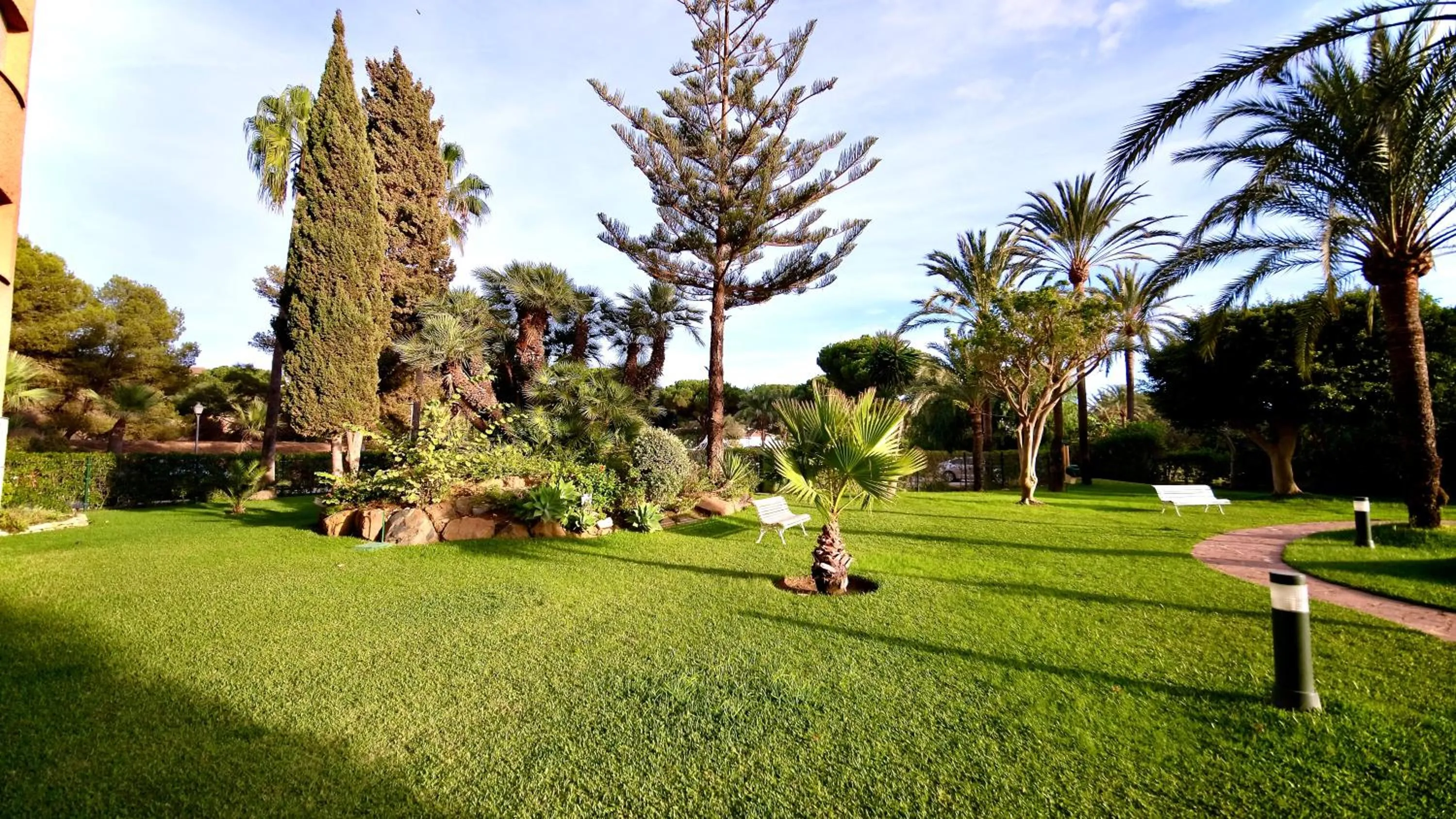 Garden in Apartamentos Coronado