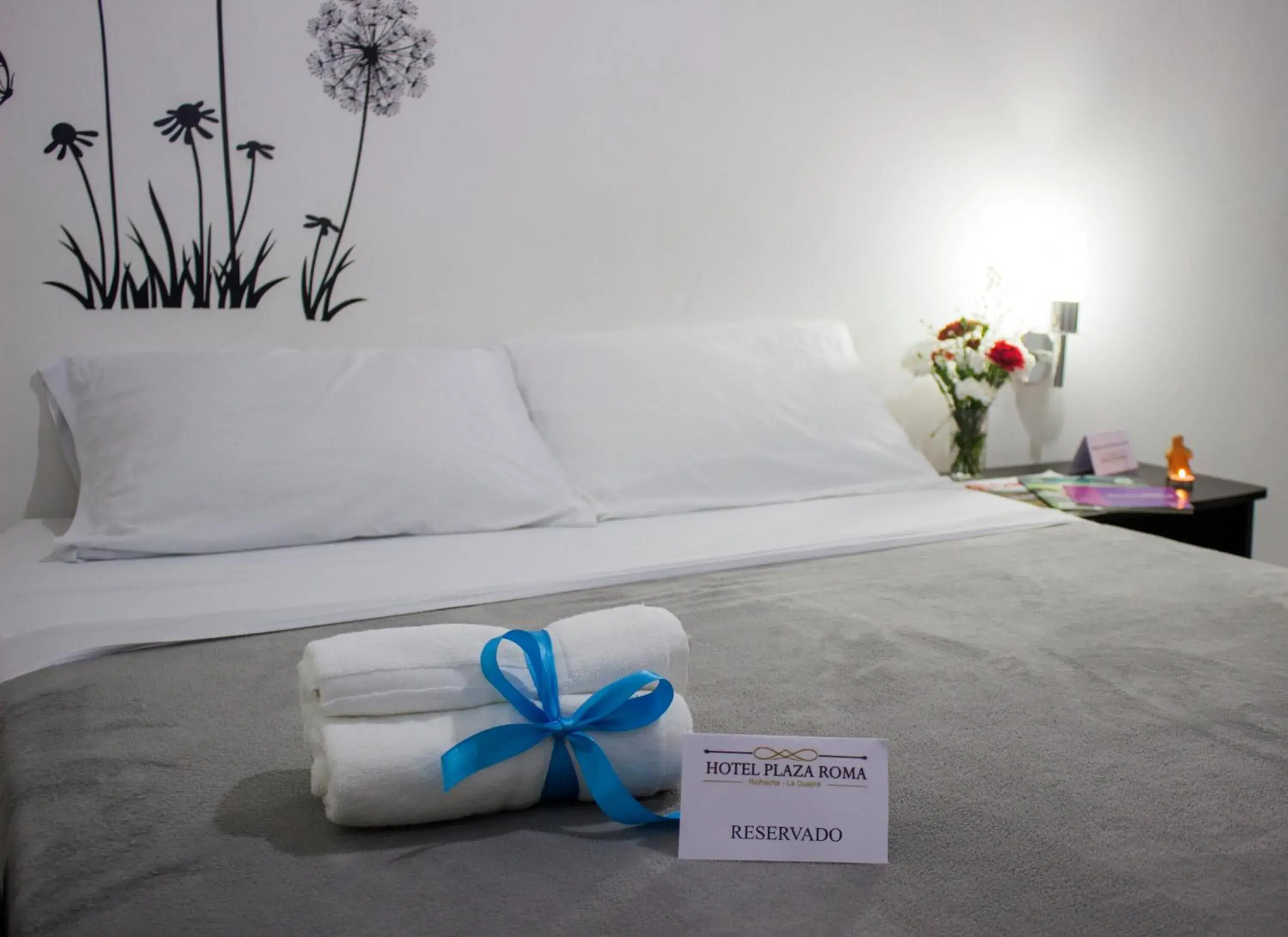 Double Room - single occupancy in Hotel Plaza Roma Double Room - single occupancy in Hotel Plaza Roma