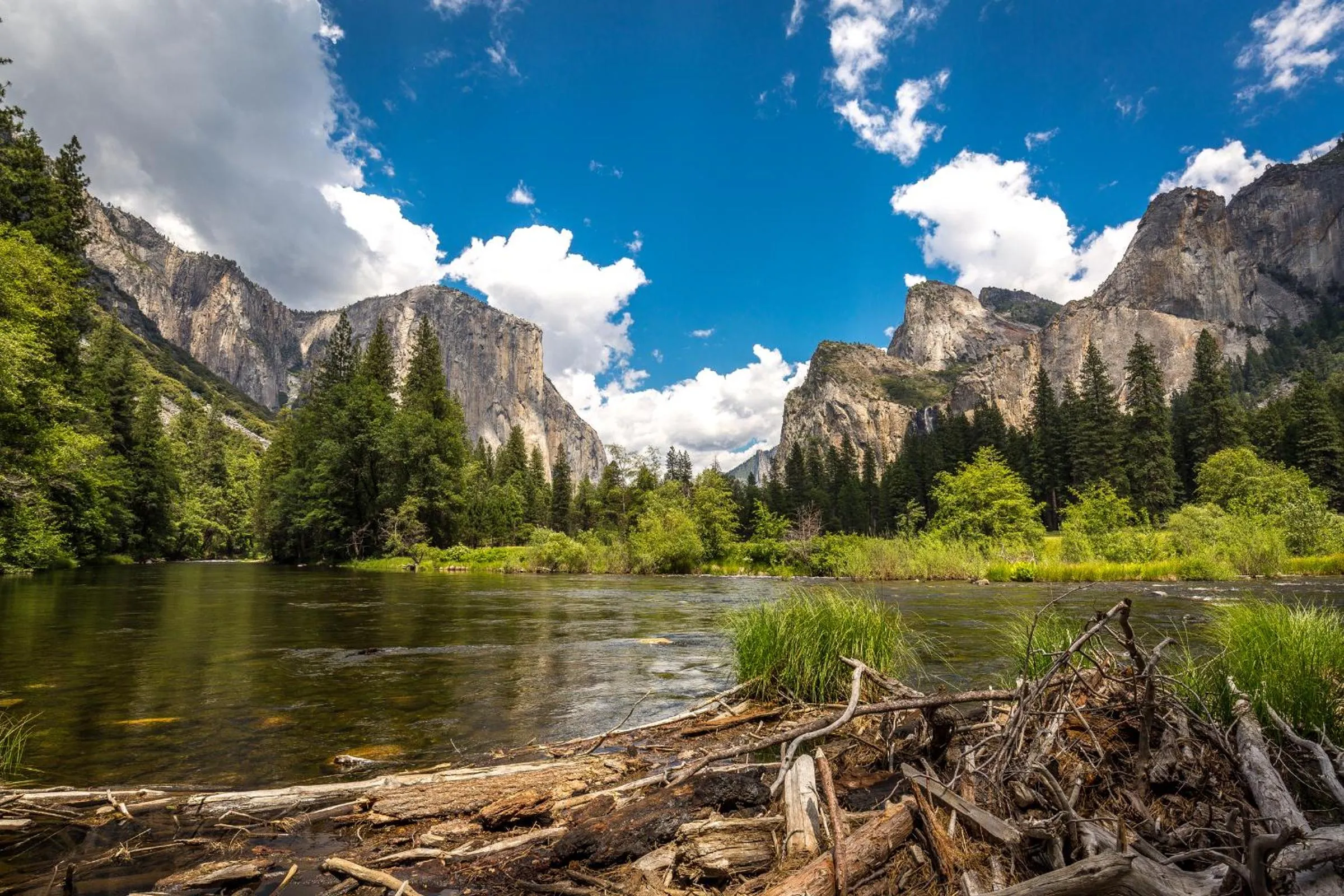 Natural landscape in Rush Creek Lodge at Yosemite