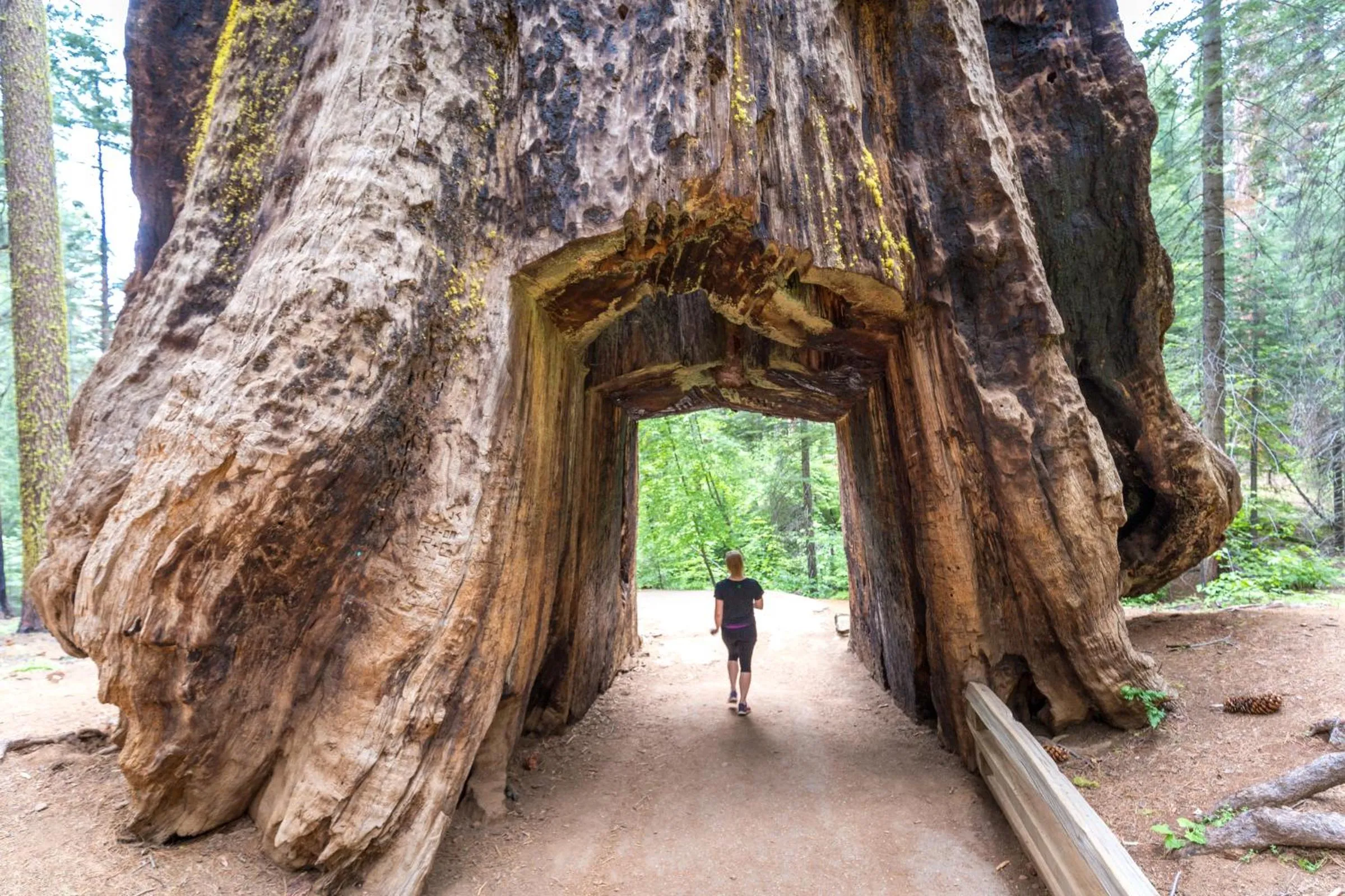 Nearby landmark in Rush Creek Lodge at Yosemite