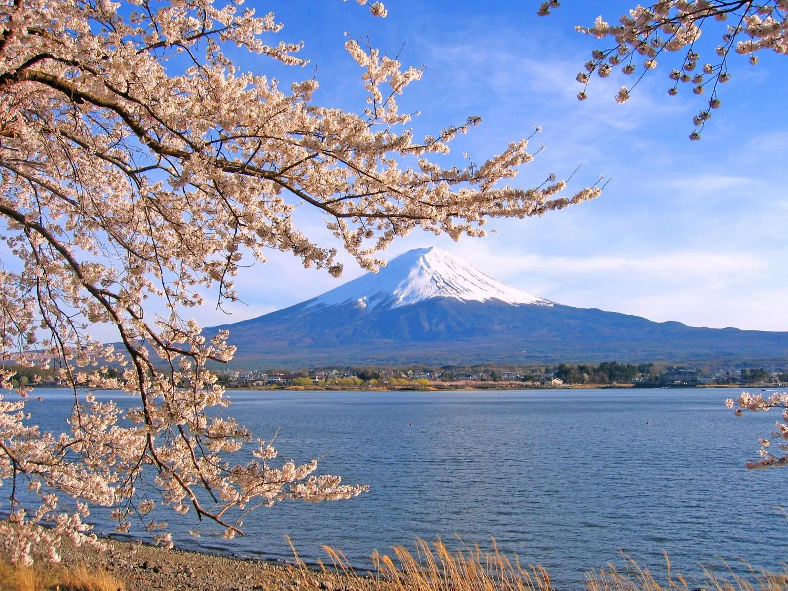 Nearby landmark in Kawaguchiko Urban Resort Villa