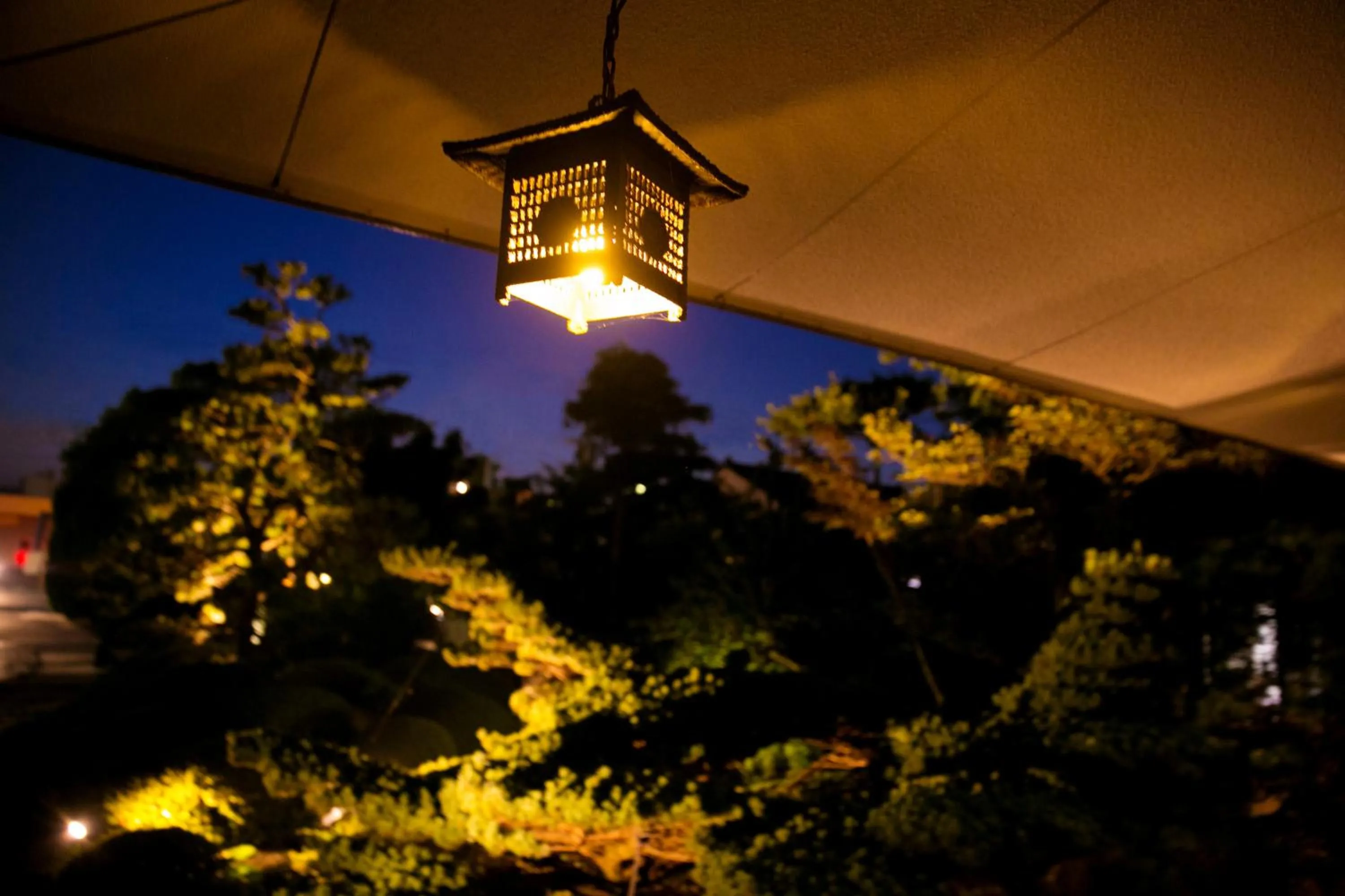 Night in Ryokan Wataya