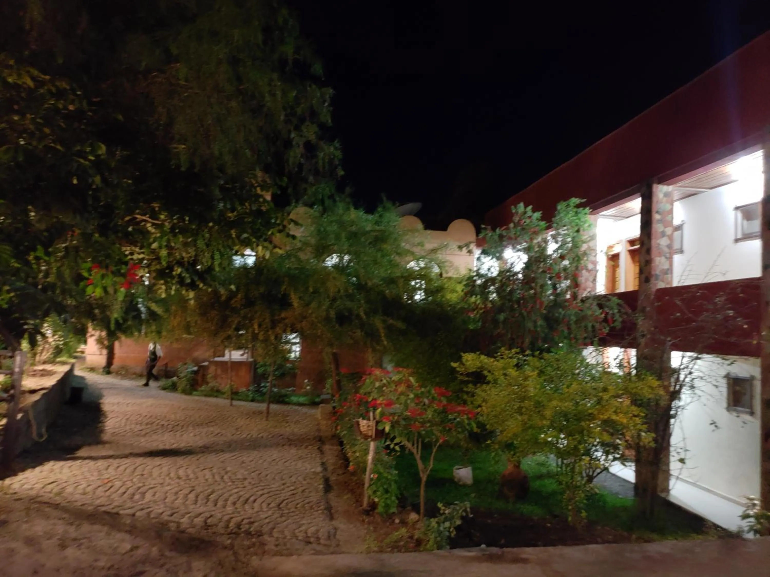 Facade/entrance in Top Twelve Hotel - Lalibela