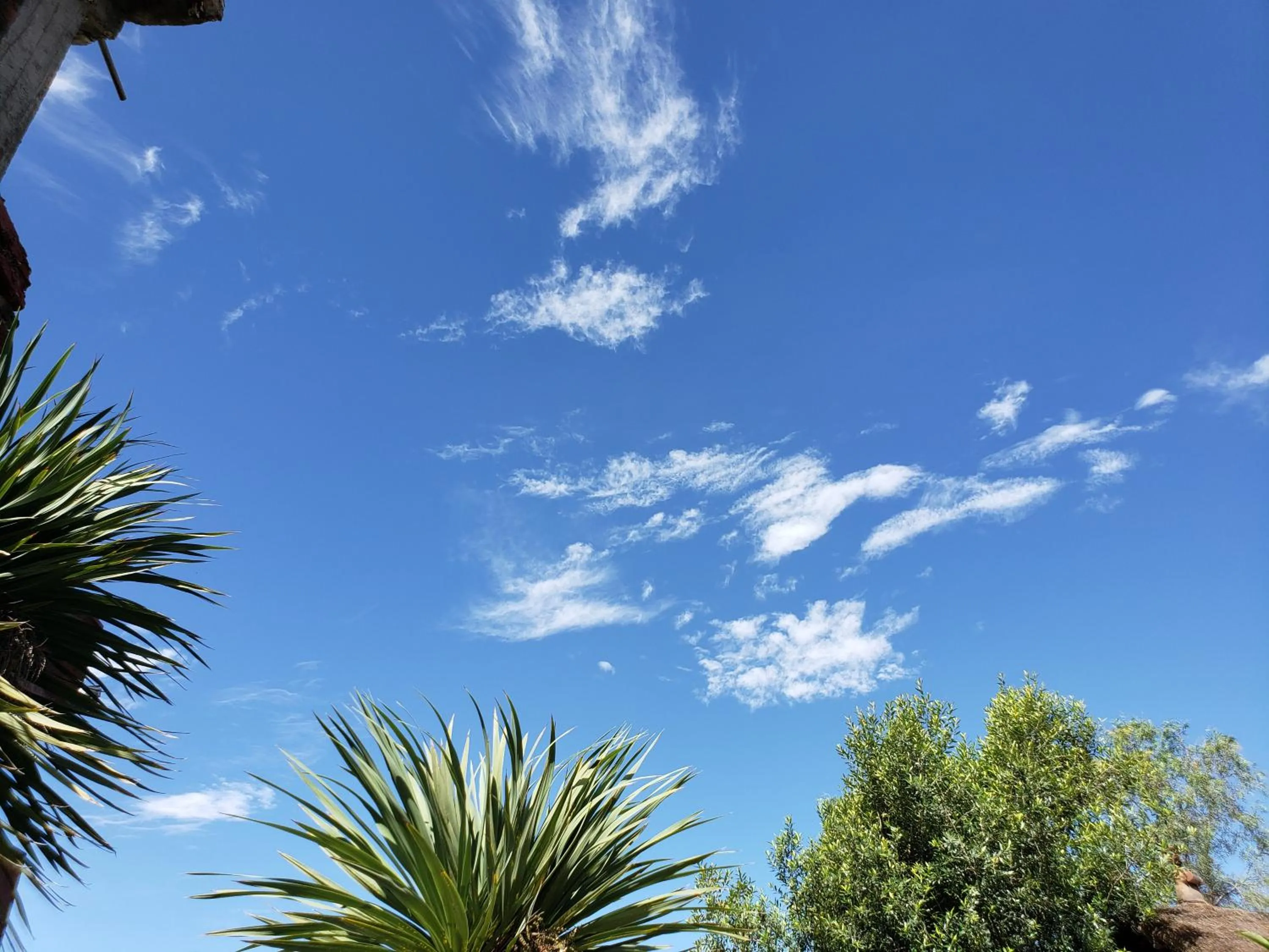 Garden in Top Twelve Hotel - Lalibela