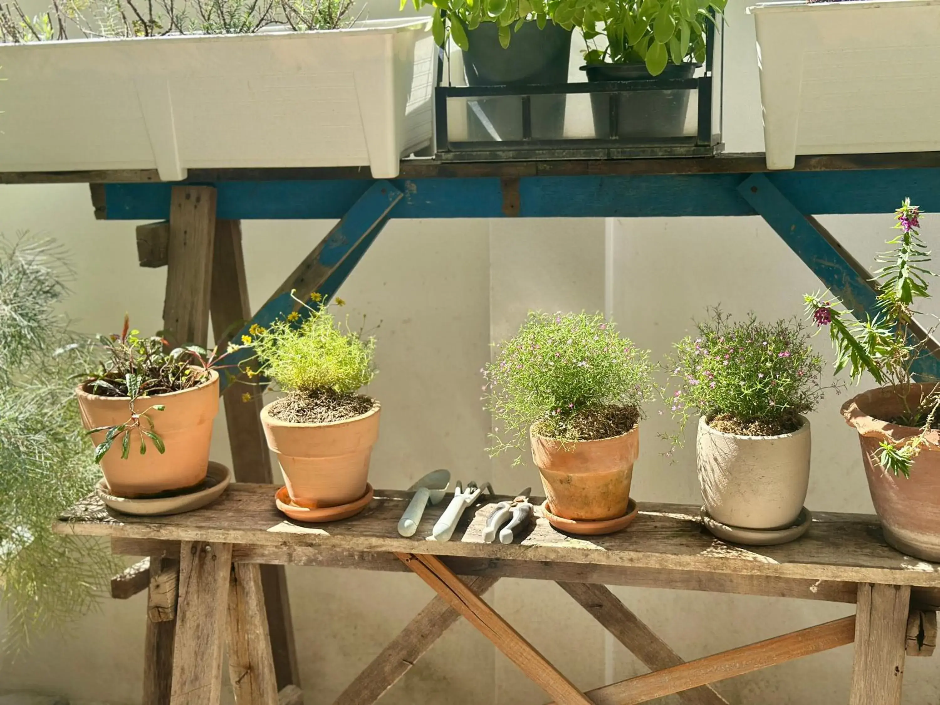 Restaurant/places to eat in Your Home AYUTTHAYA Restaurant/places to eat in Your Home AYUTTHAYA