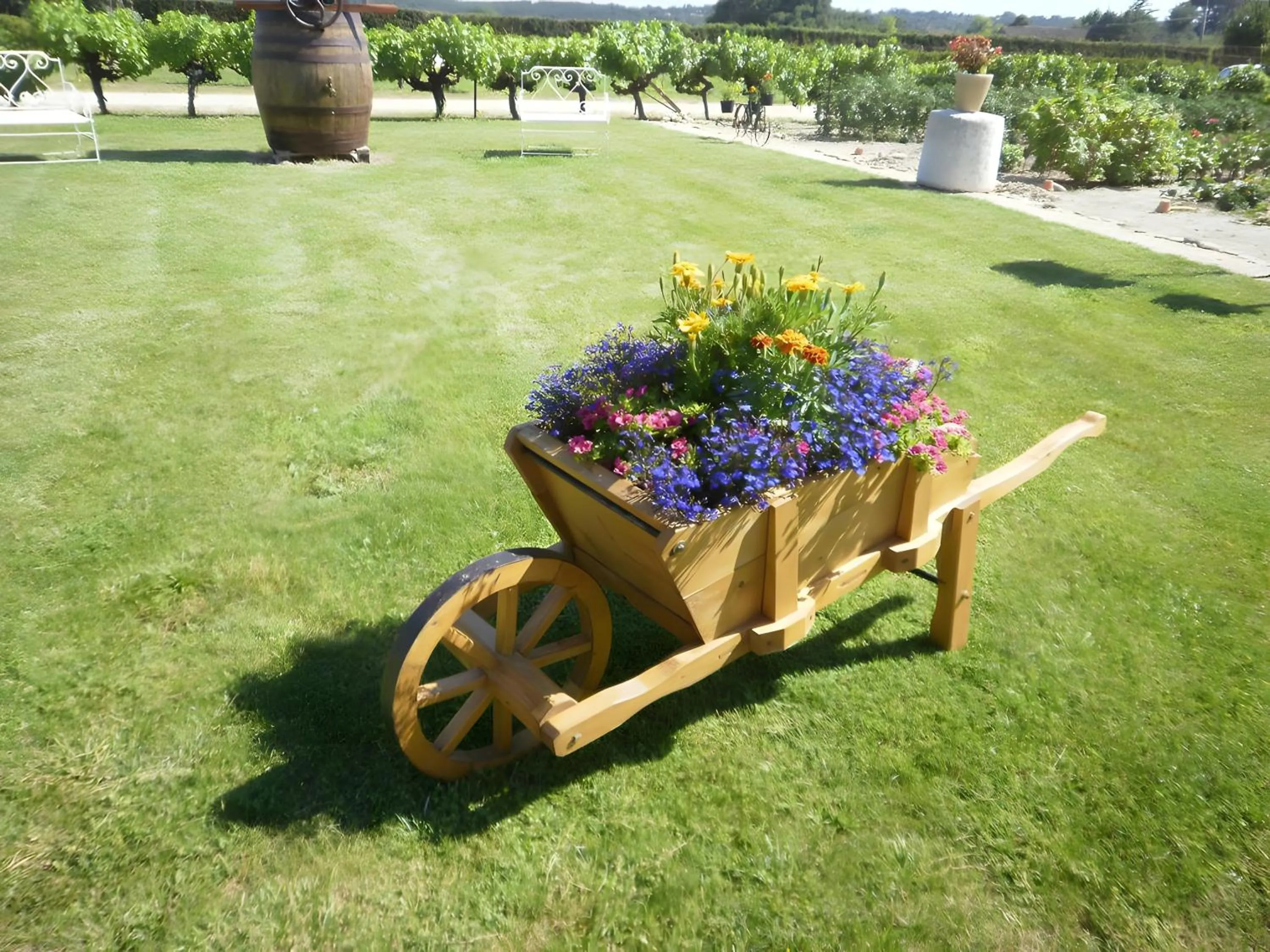 Chambre du Raisin