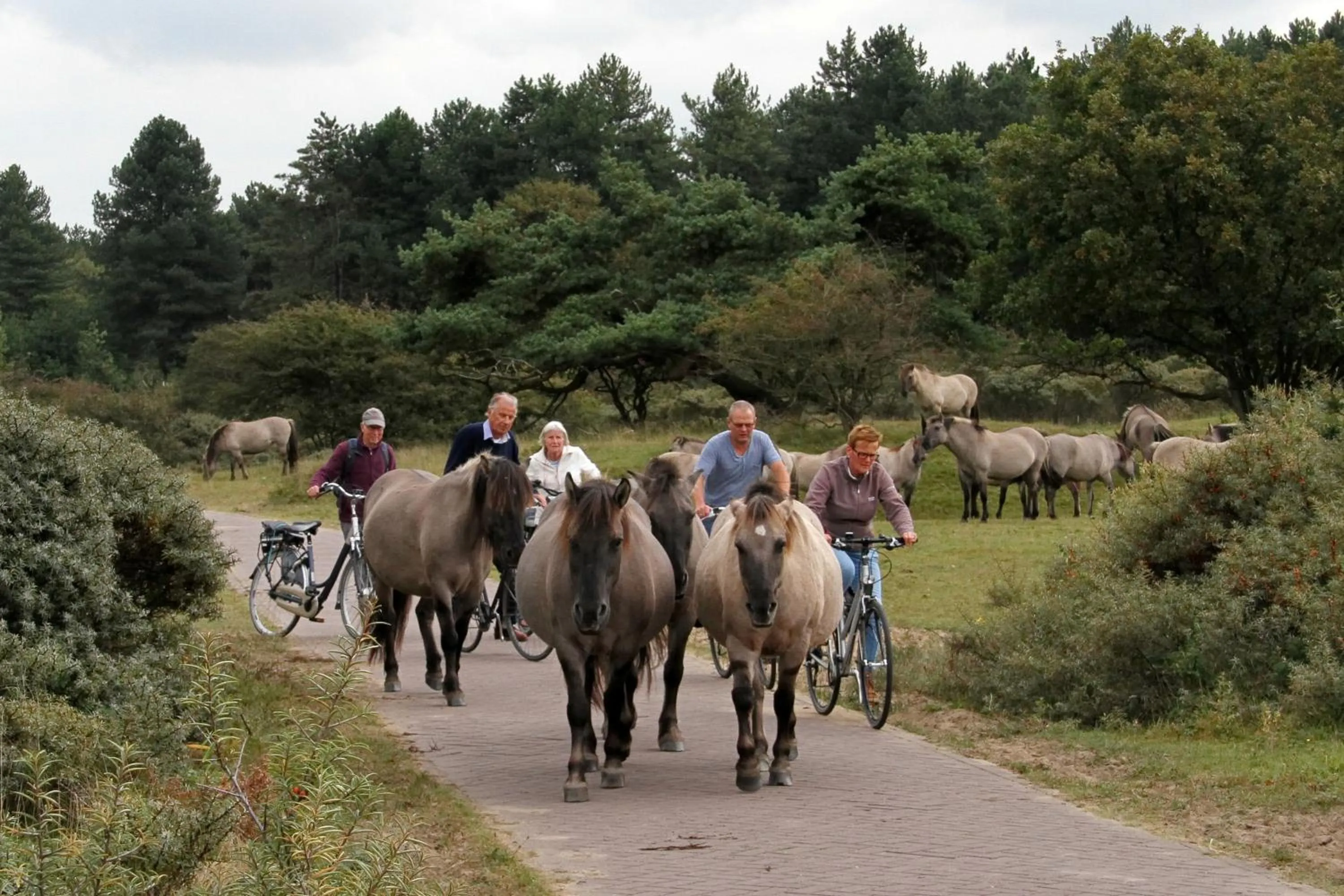 Cycling in Hotel Rauw aan de Kade