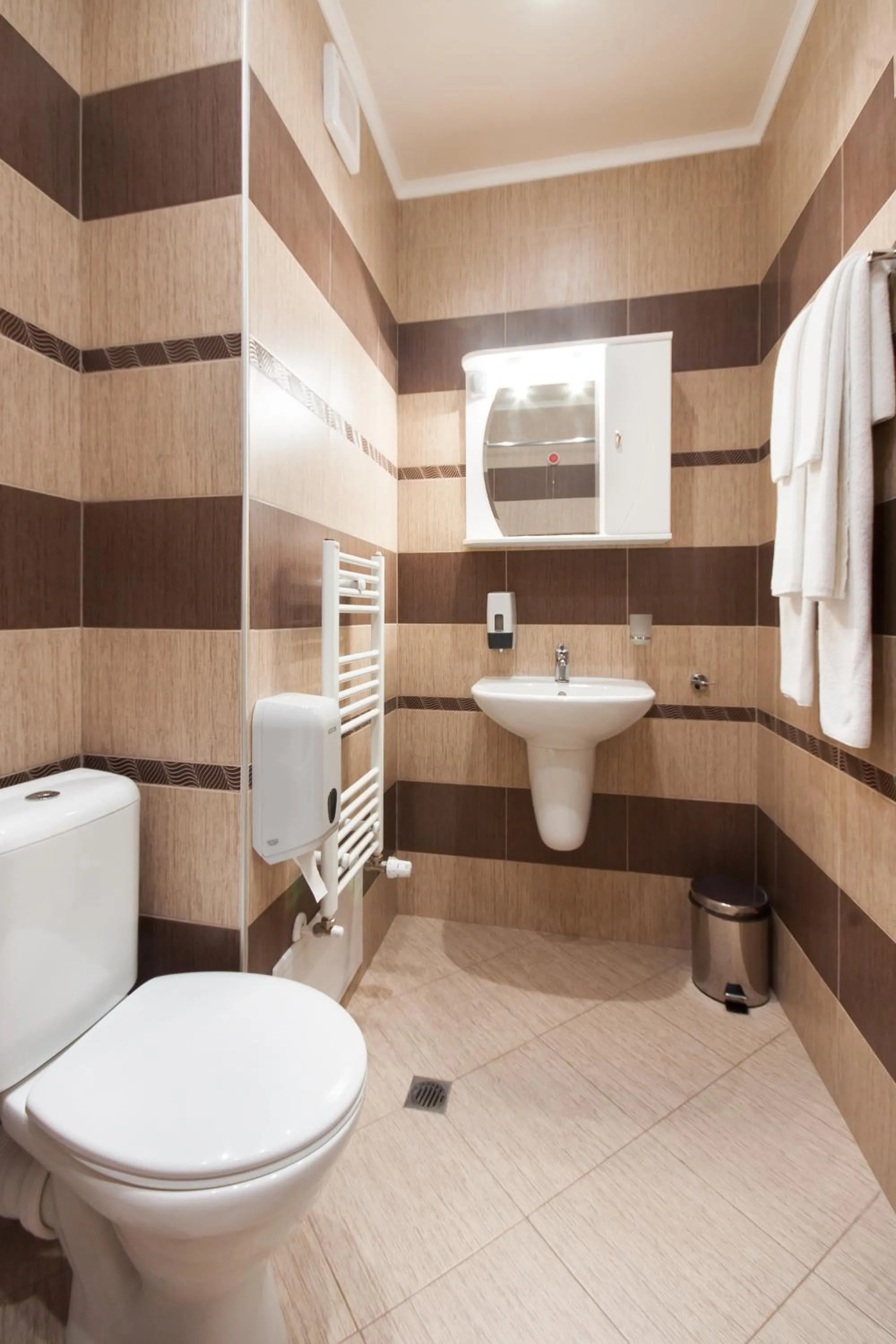 Toilet in Hotel Chiirite