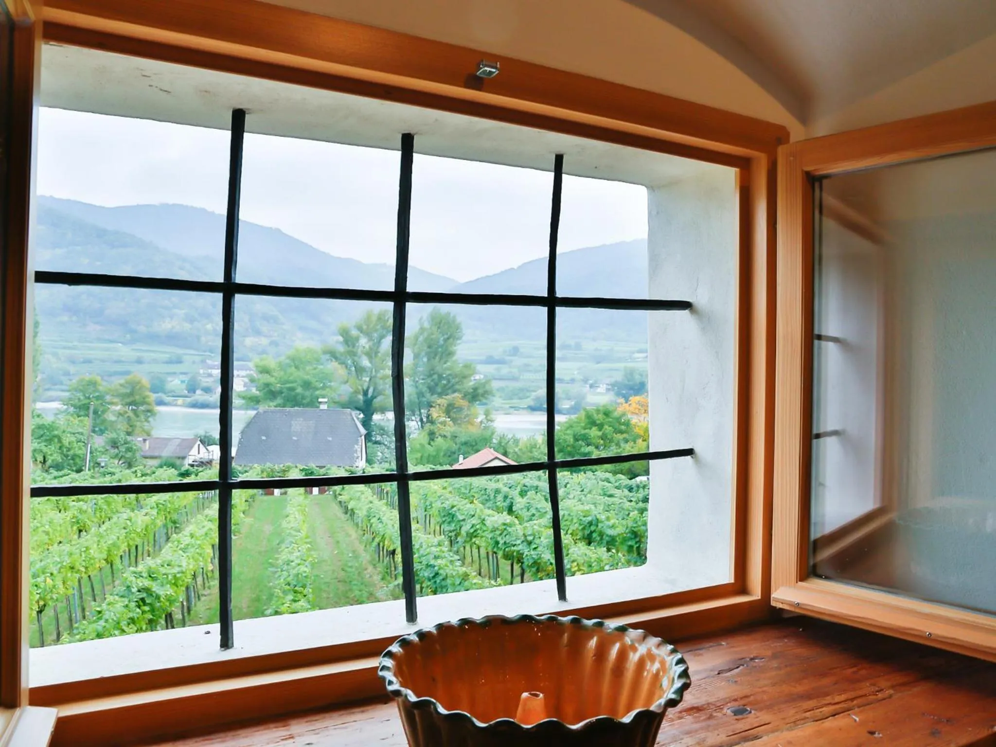 Natural landscape in Apartement Schlaf Gut - mitten in der Wachau