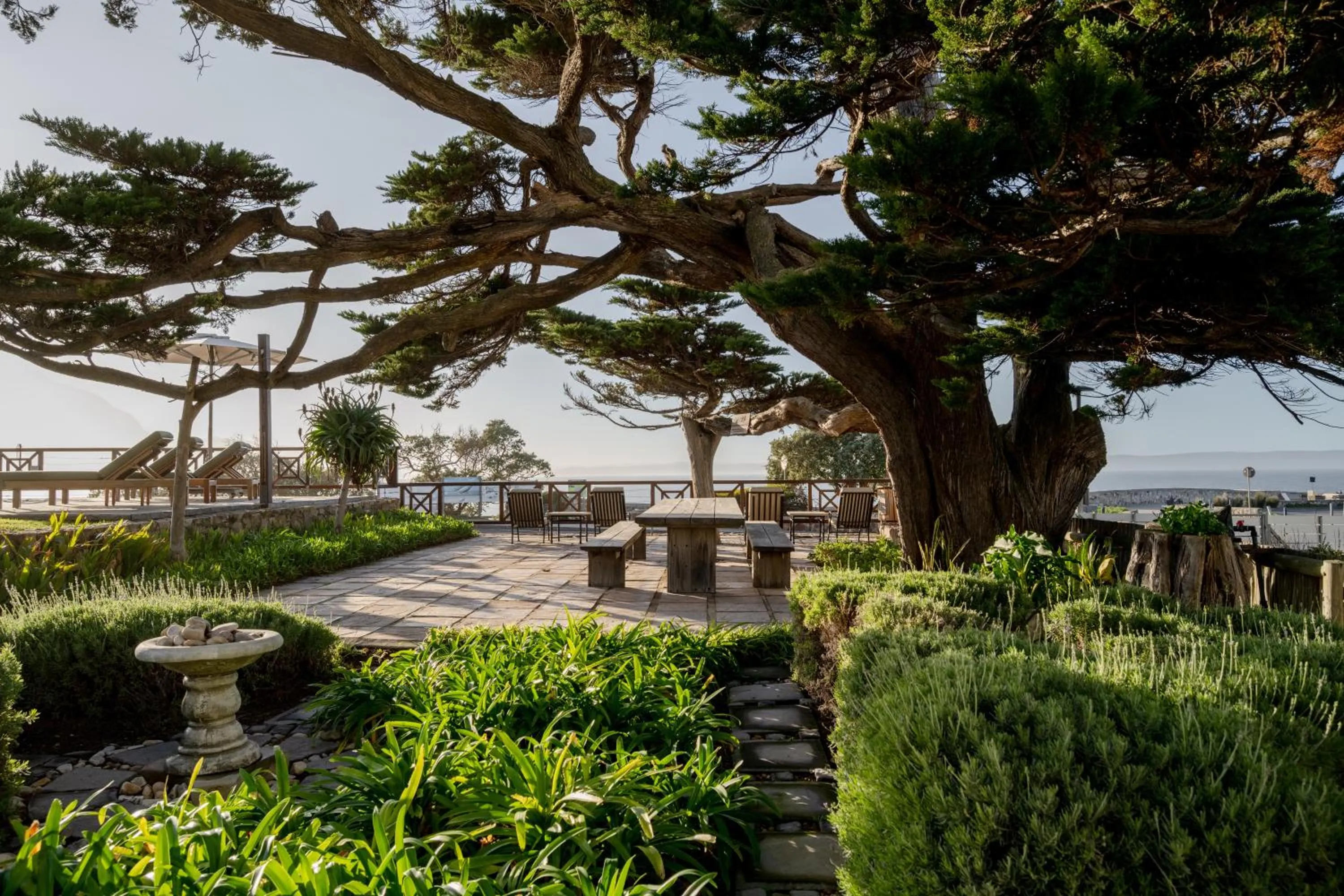 Garden in Harbour House Hotel
