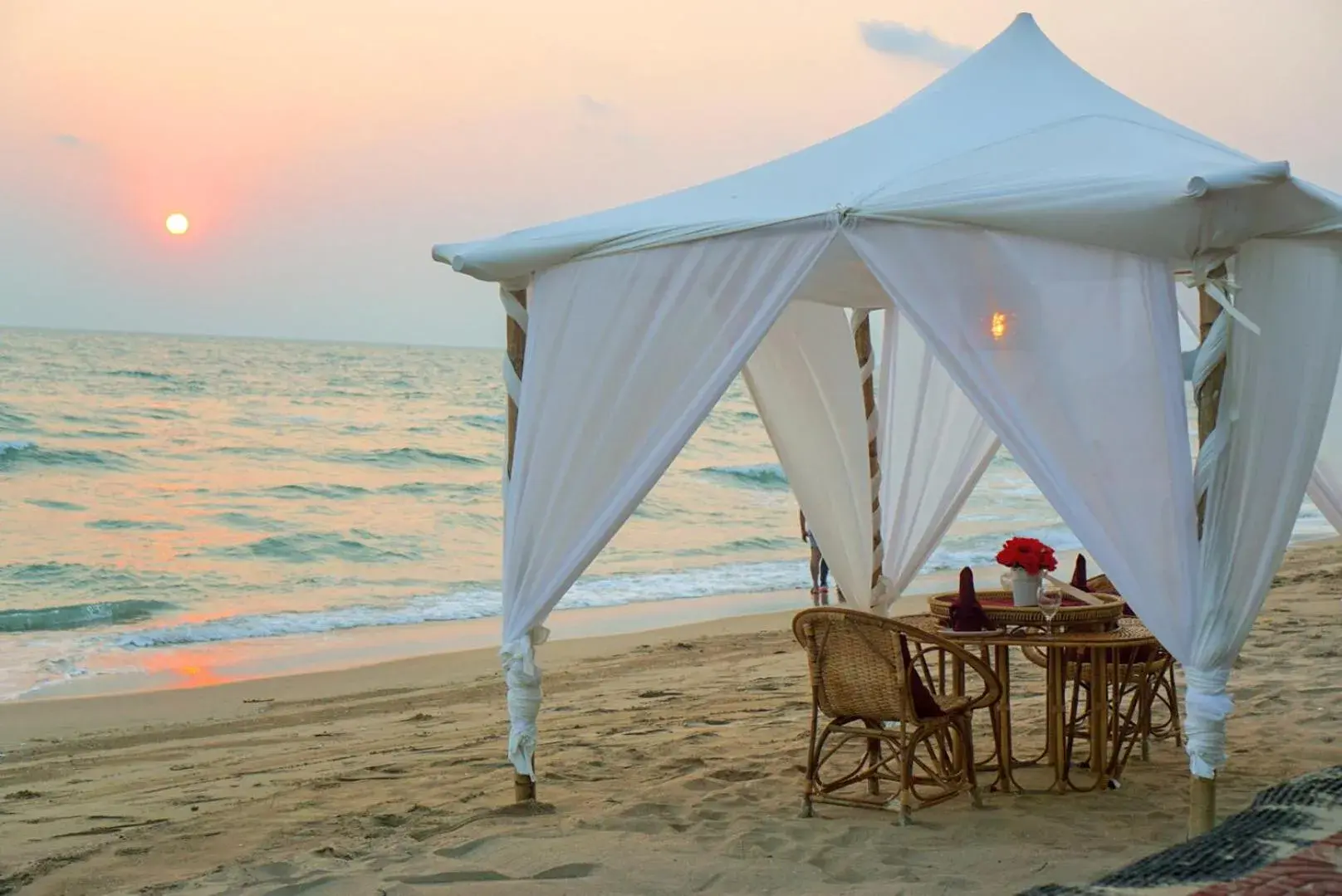 Food and drinks in Saint Tropez Beach Hotel Food and drinks in Saint Tropez Beach Hotel