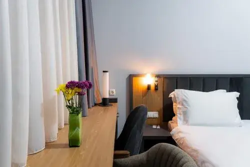 Standard King Room - single occupancy in Rauza Hotel Tashkent Standard King Room - single occupancy in Rauza Hotel Tashkent