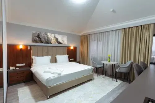 Deluxe Room - single occupancy in Rauza Hotel Tashkent Deluxe Room - single occupancy in Rauza Hotel Tashkent