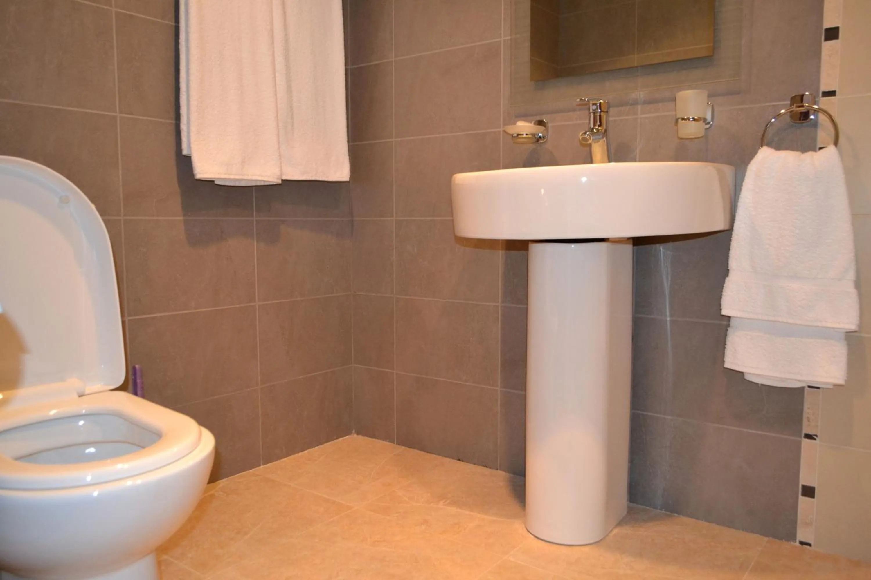 Bathroom in Villadzor Apart Hotel