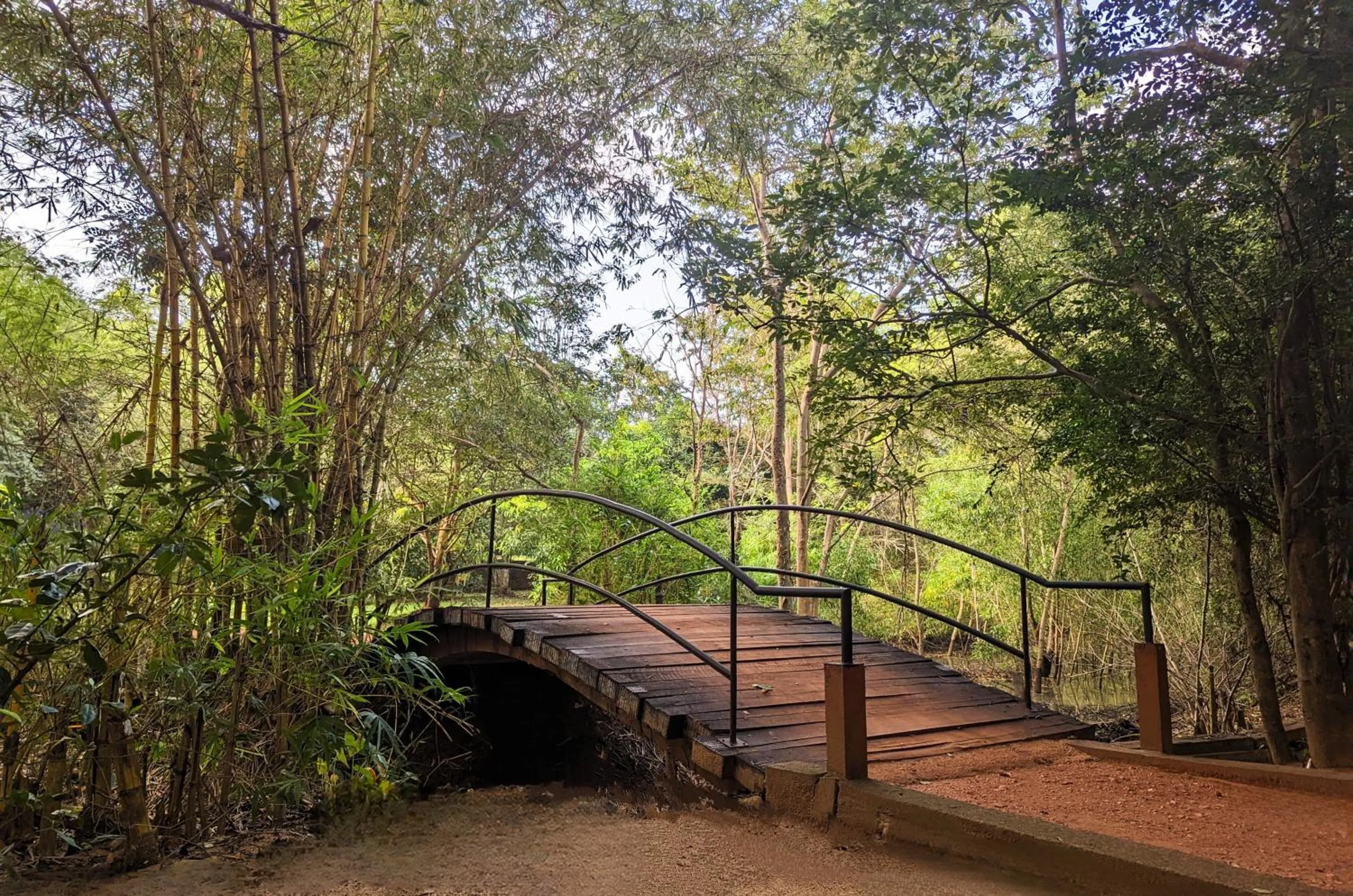 Garden in Pinthaliya Resort