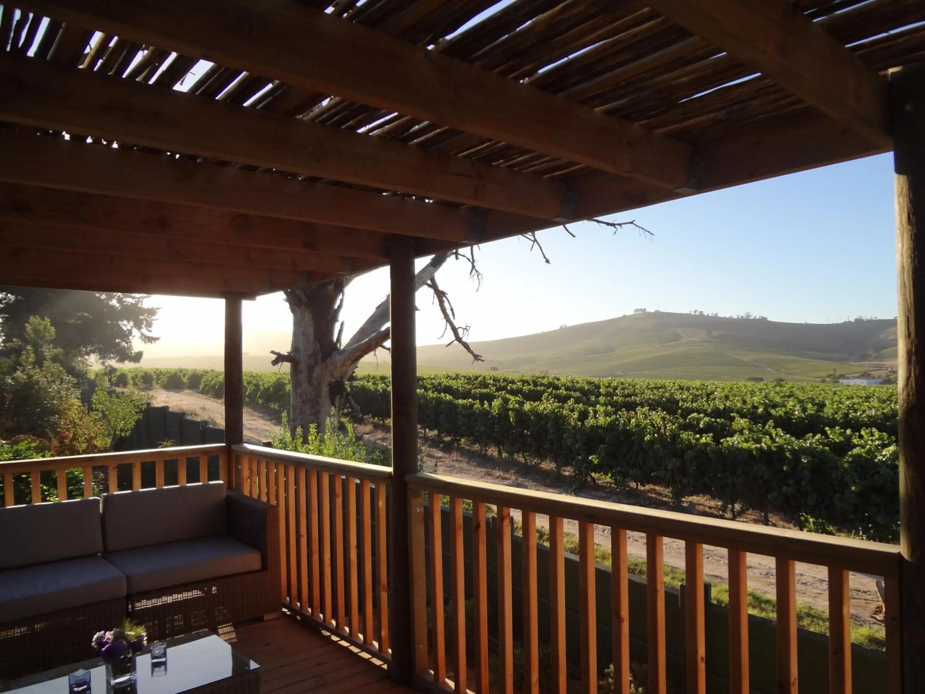 Natural landscape in Wedgeview Country House & Spa