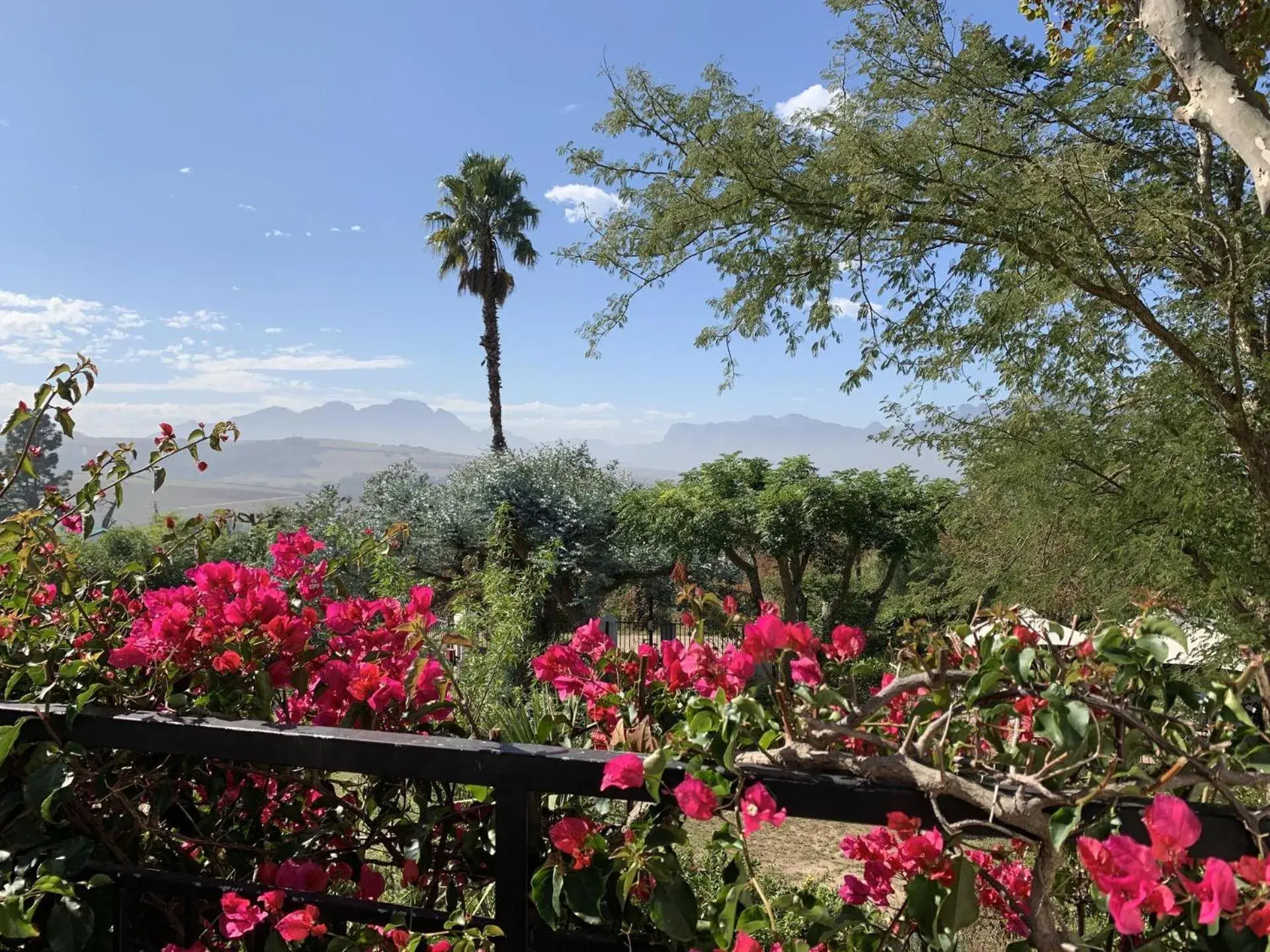 Balcony/Terrace in Wedgeview Country House & Spa Balcony/Terrace in Wedgeview Country House & Spa