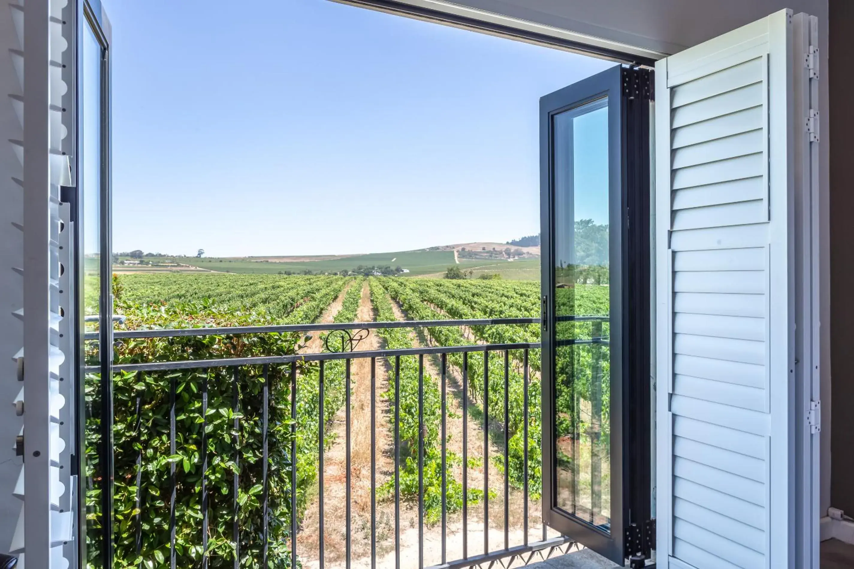 Vineyard Double Room in Wedgeview Country House & Spa Vineyard Double Room in Wedgeview Country House & Spa