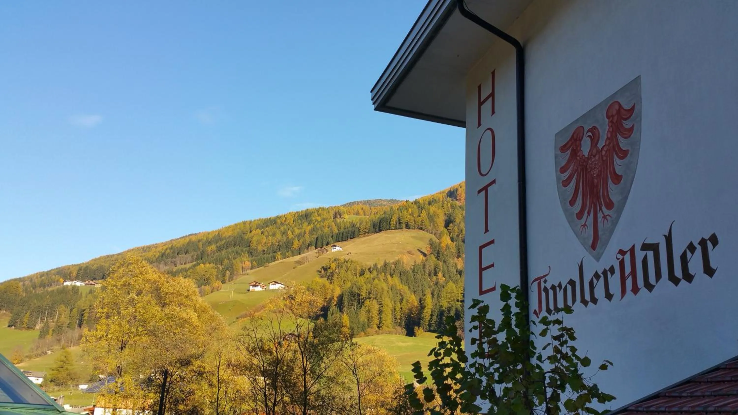 Hotel Tiroler Adler