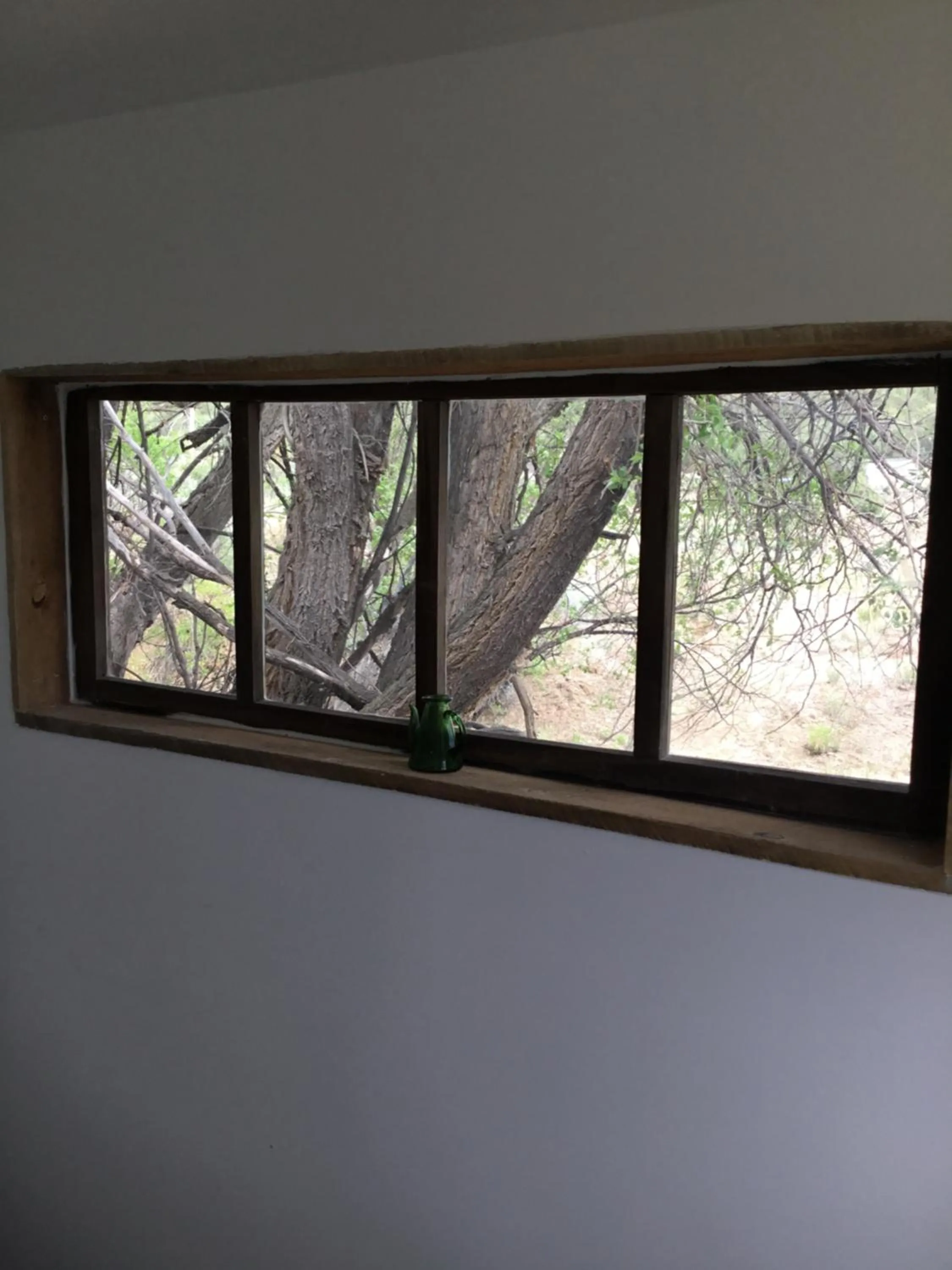 Taos Goji Farm & Eco-Lodge Retreat