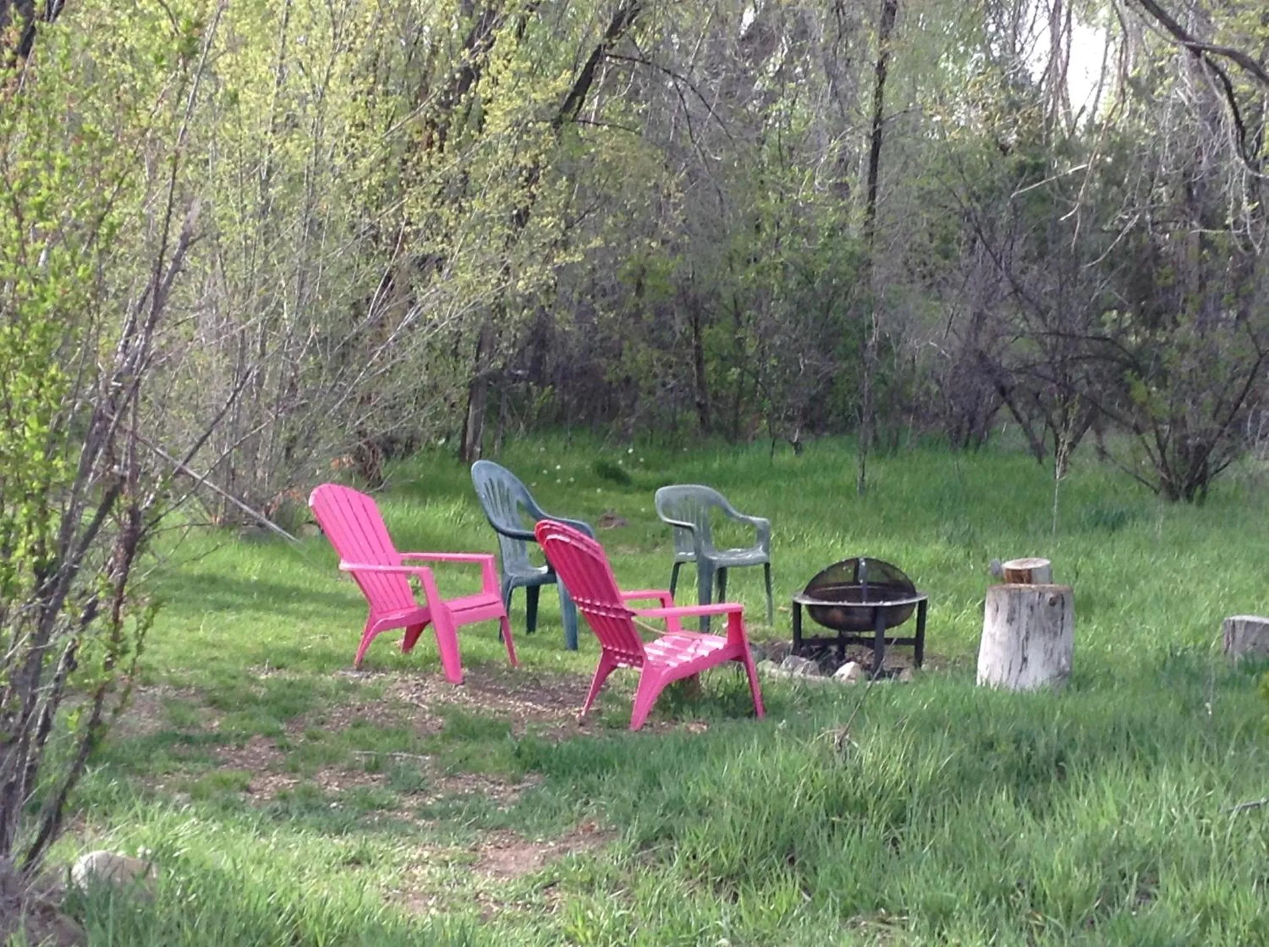 Day in Taos Goji Farm & Eco-Lodge Retreat