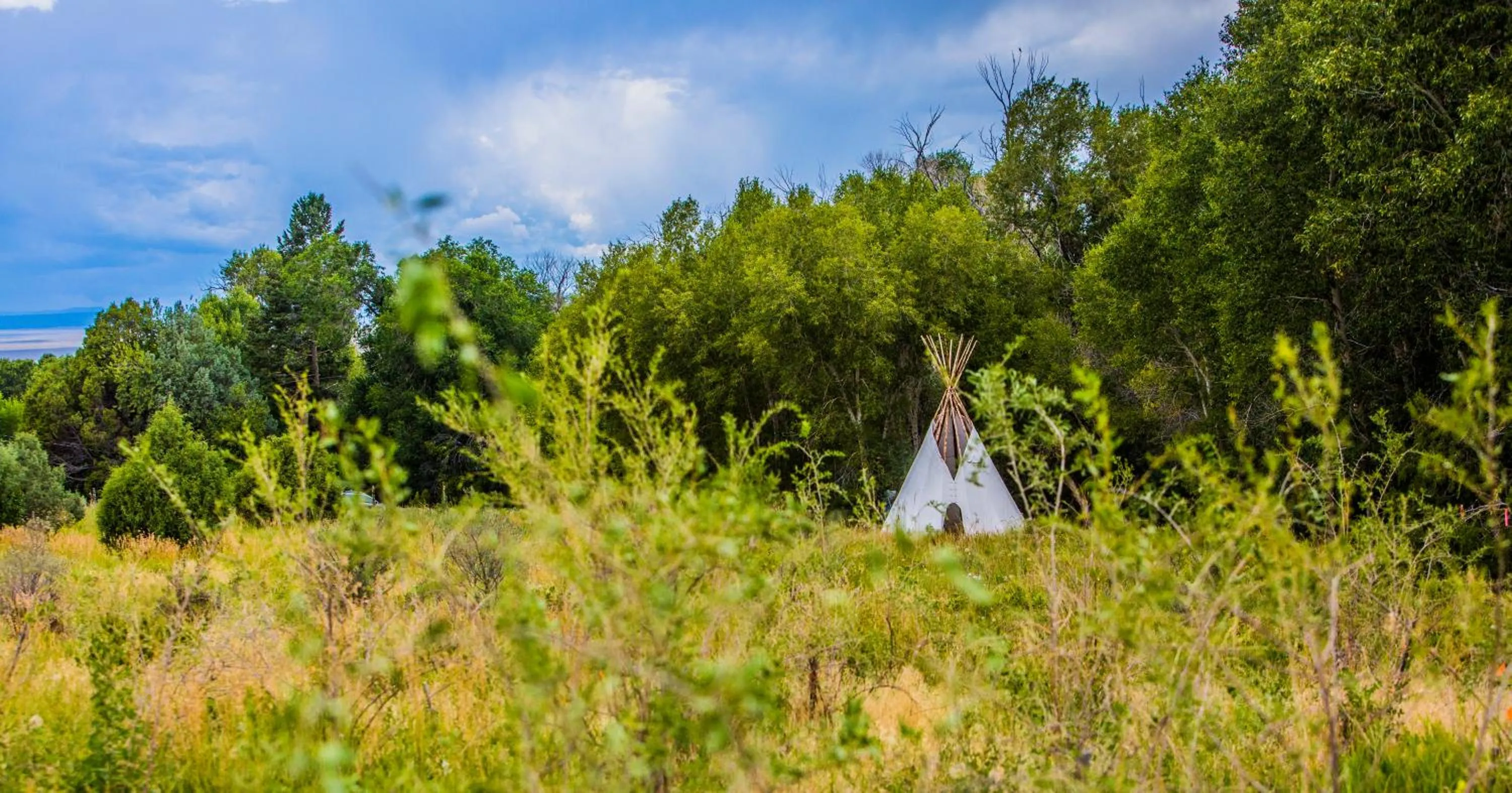 Taos Goji Farm & Eco-Lodge Retreat