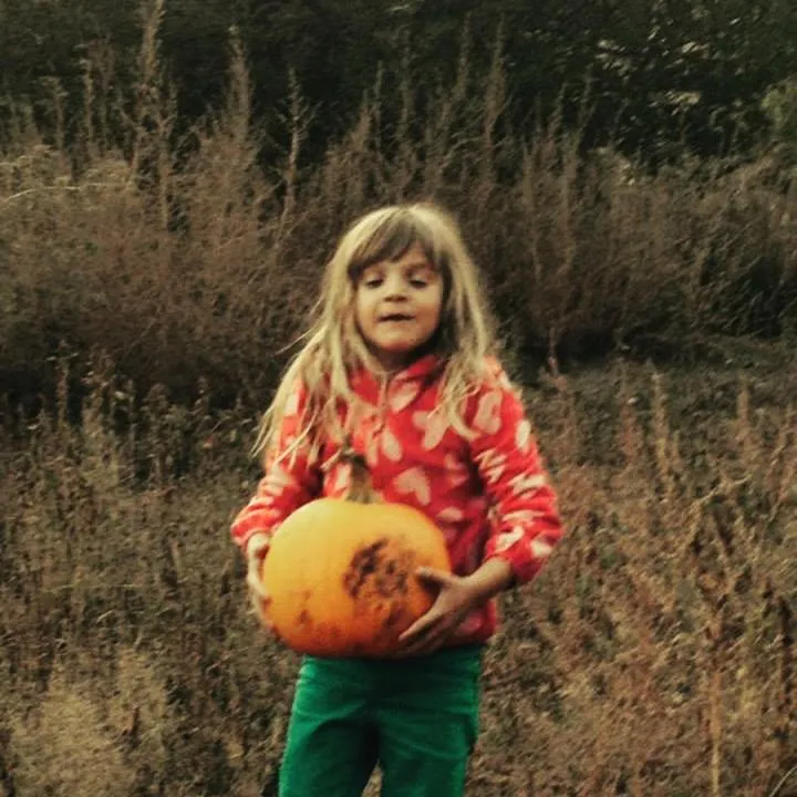 Food in Taos Goji Farm & Eco-Lodge Retreat