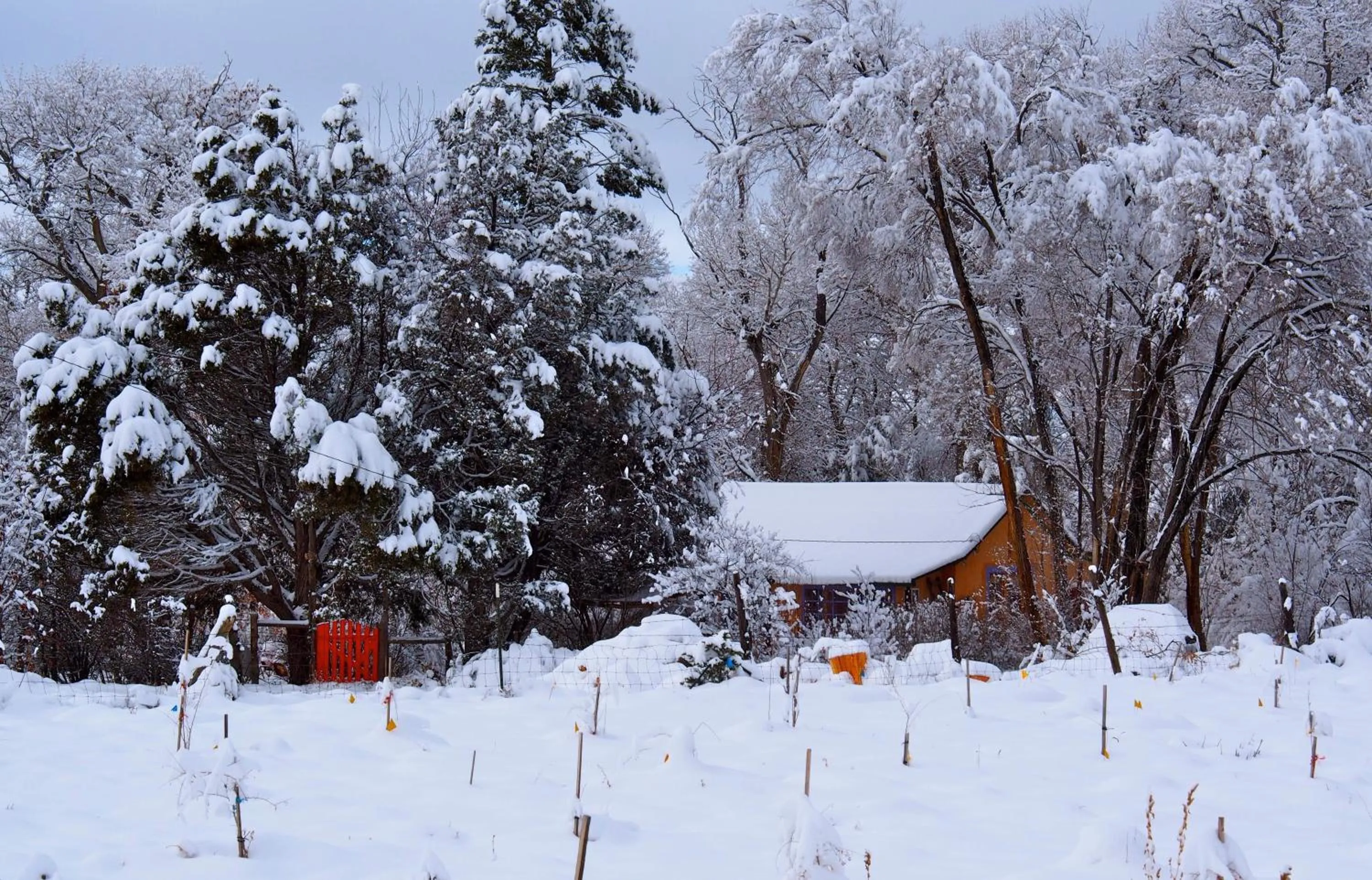 Property building in Taos Goji Farm & Eco-Lodge Retreat