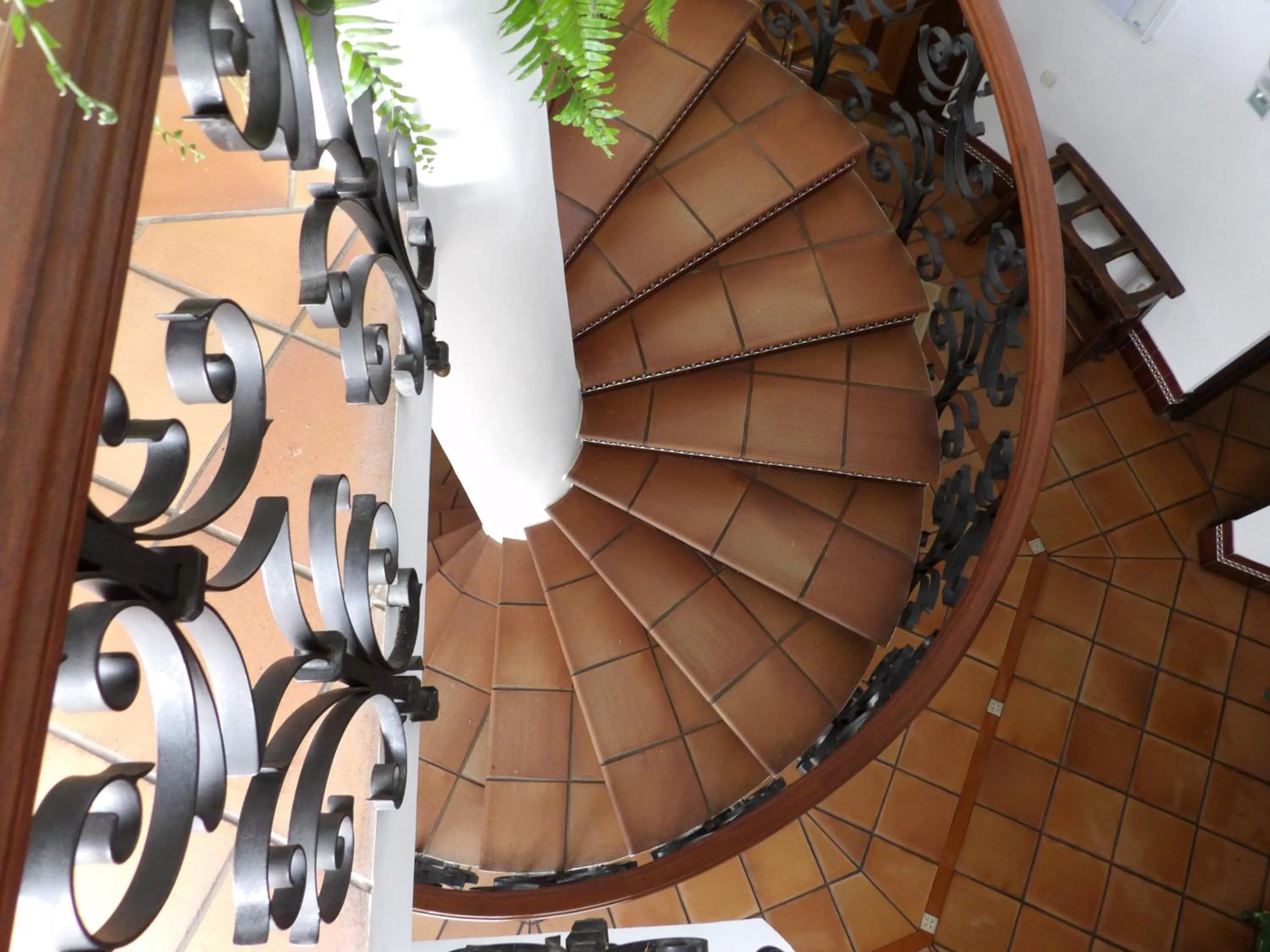 Decorative detail in Palacio Doñana , Rural & Luxury