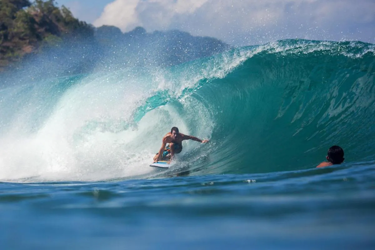 Guests in Whales and Waves