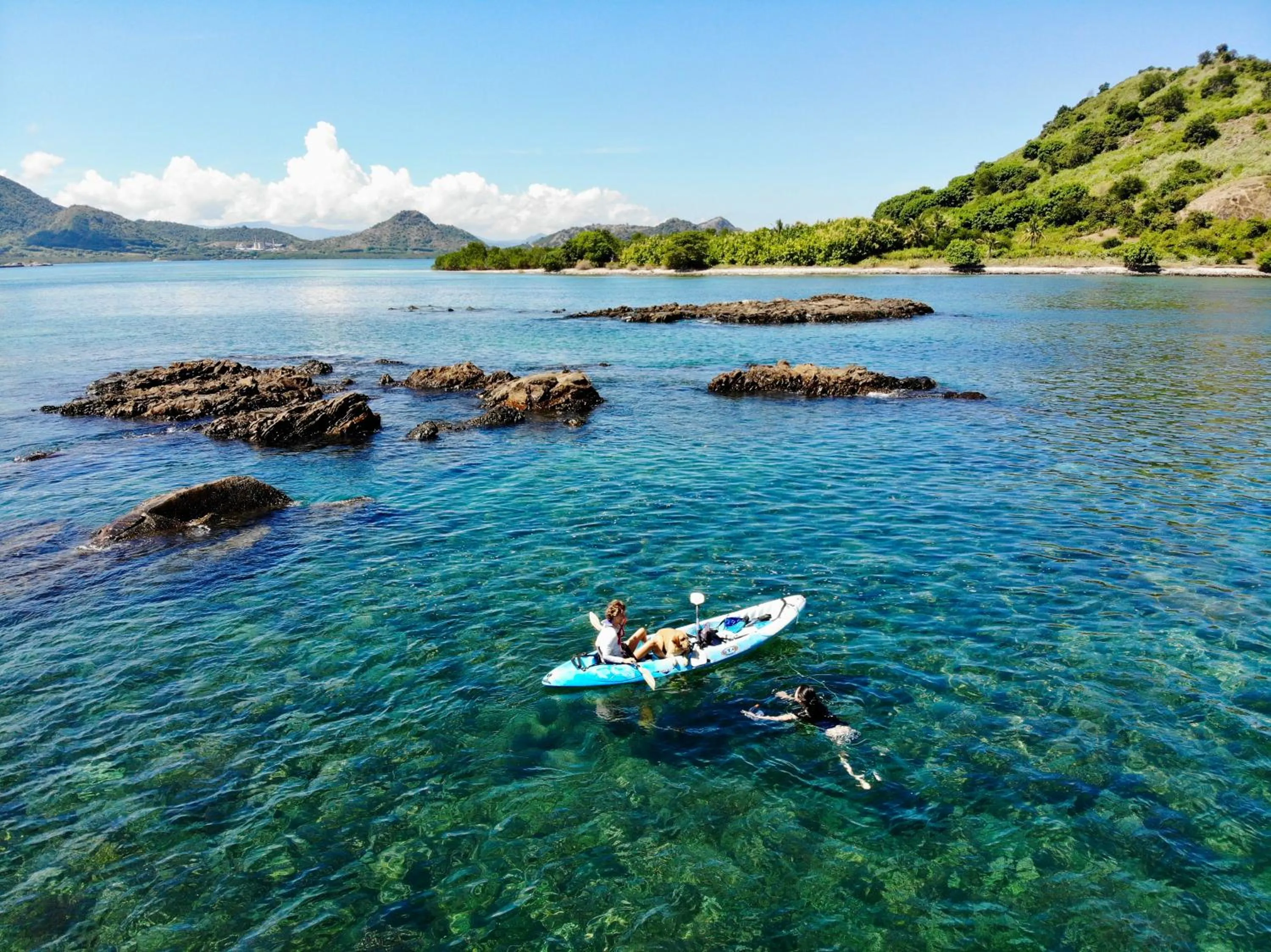 Canoeing in Whales and Waves