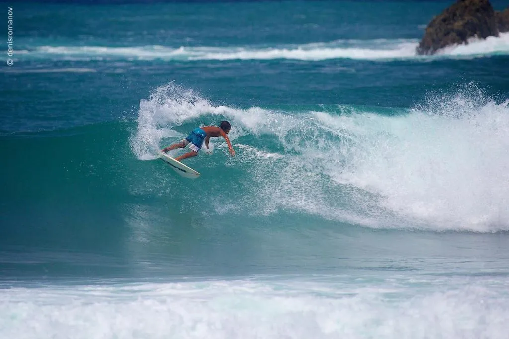 Guests in Whales and Waves