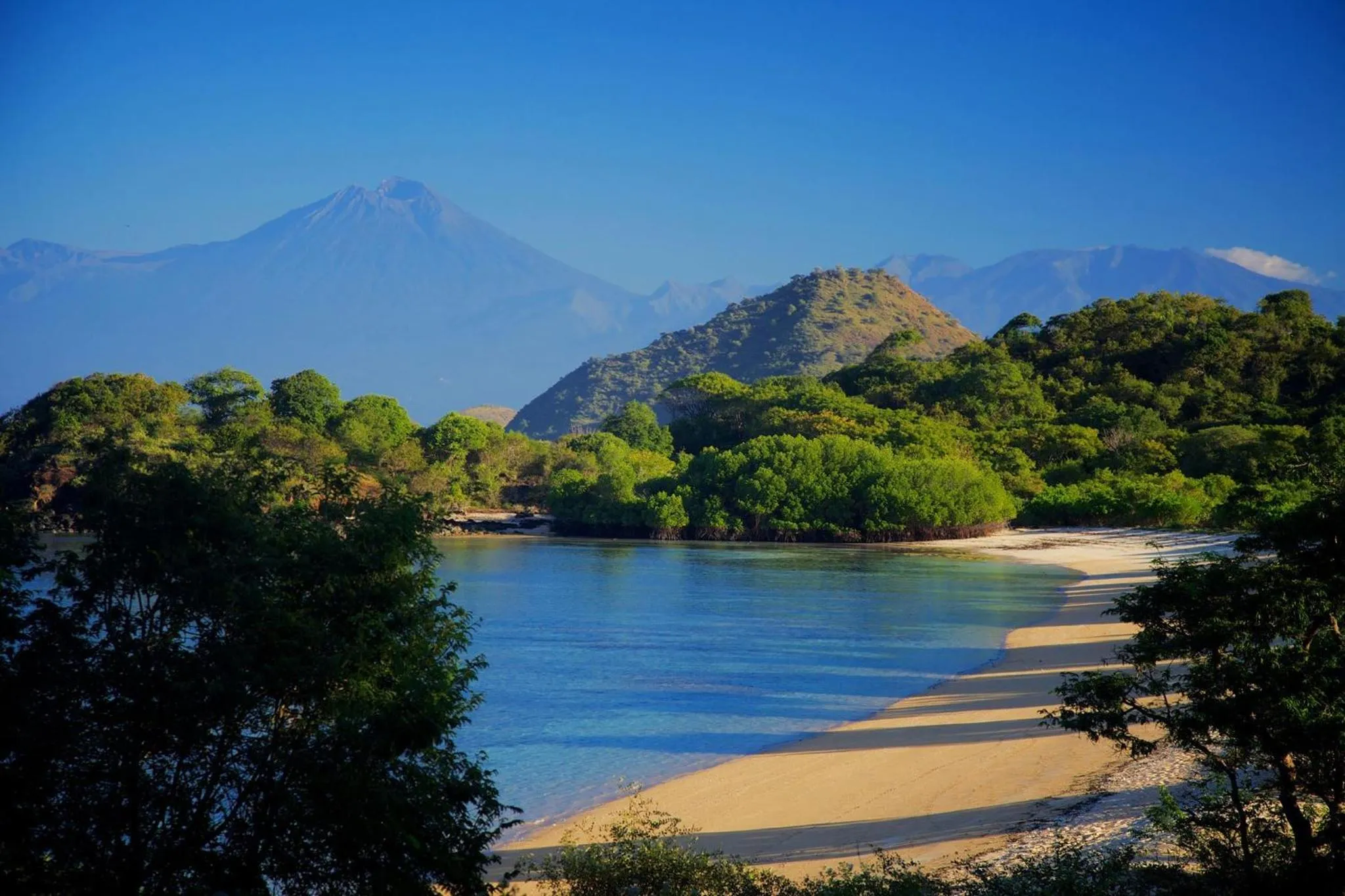 Day in Whales and Waves