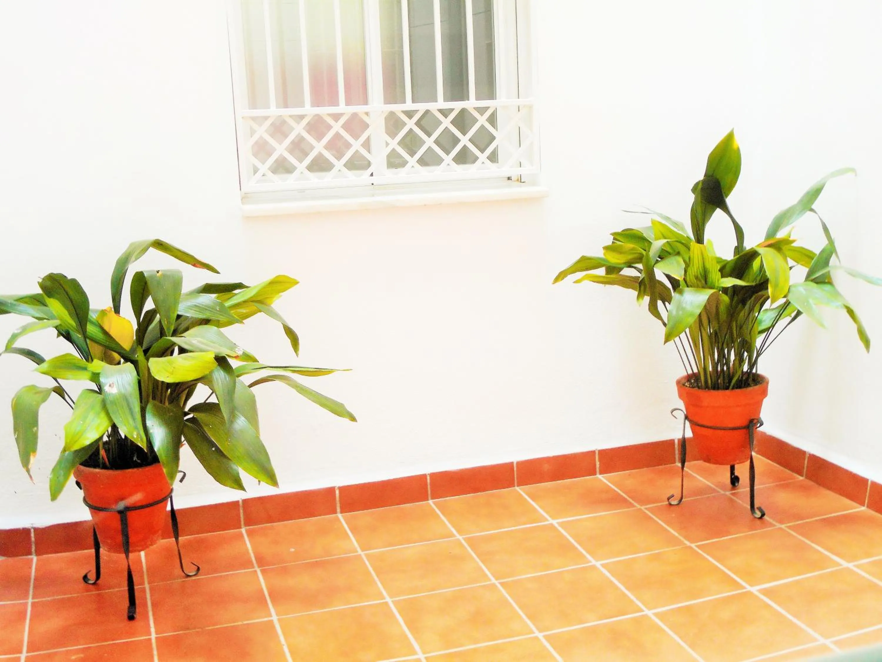 Other in Martin House & Granada