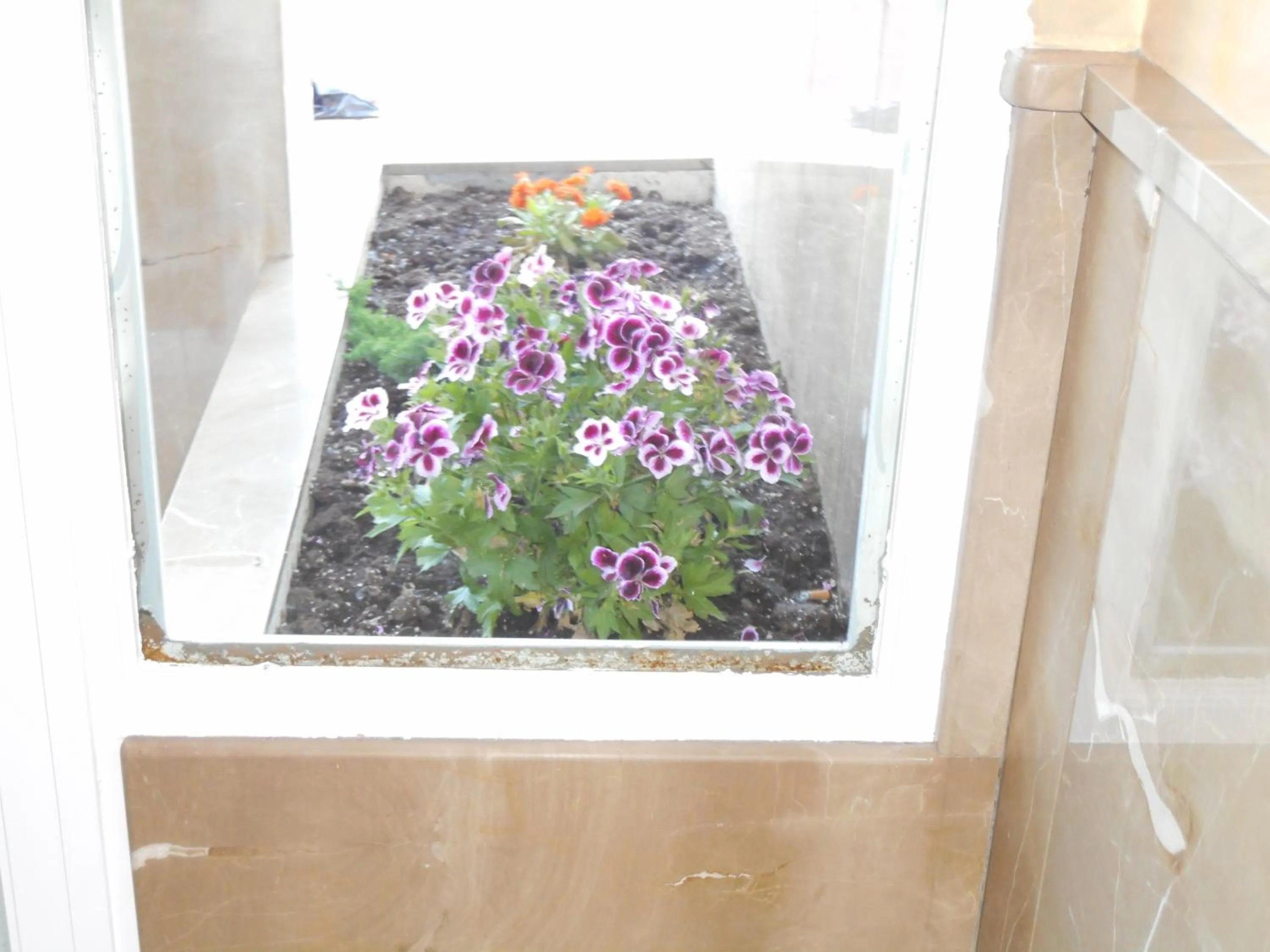 Property building in Martin House & Granada