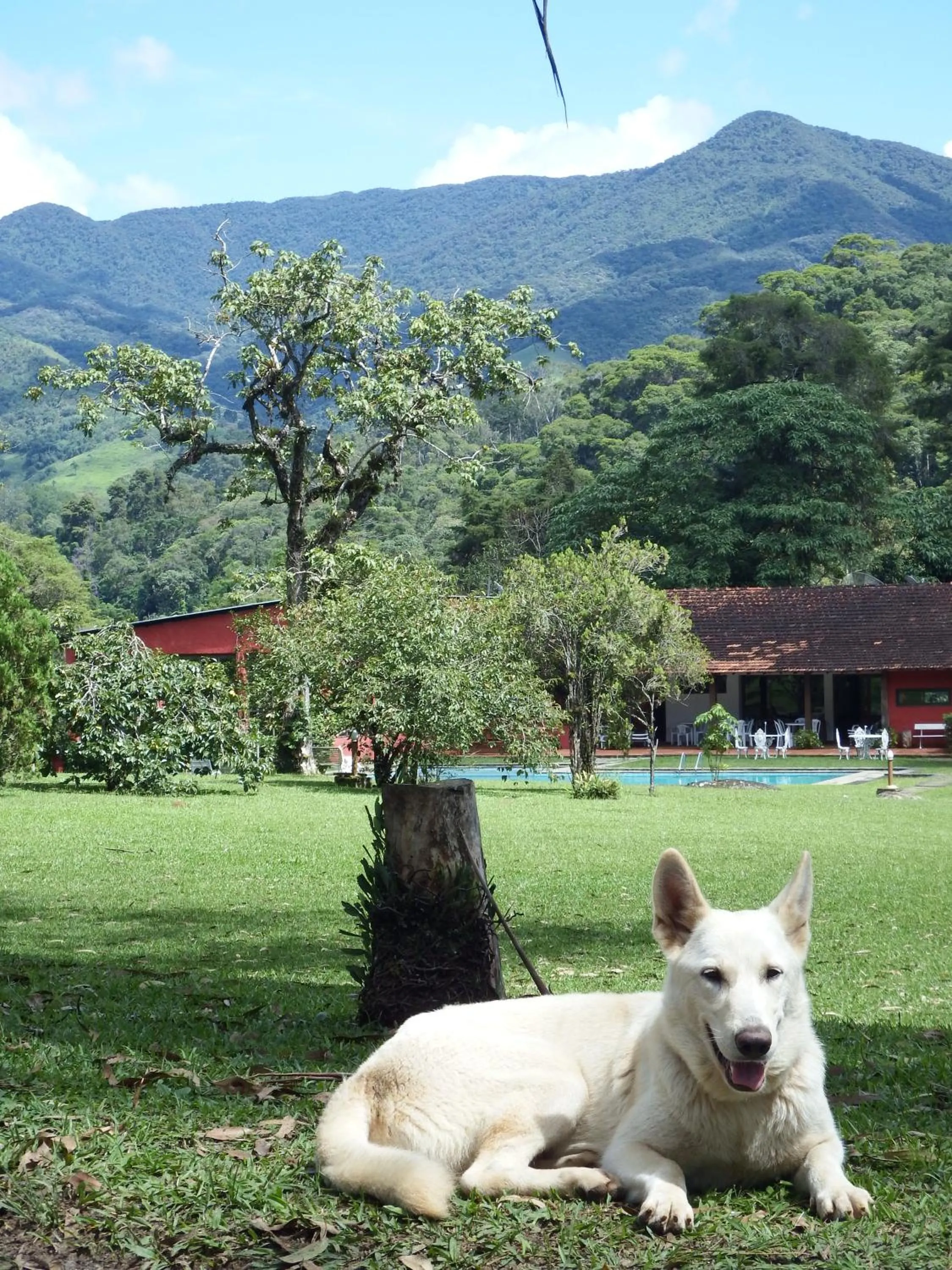 Pets in Hotel Refazenda