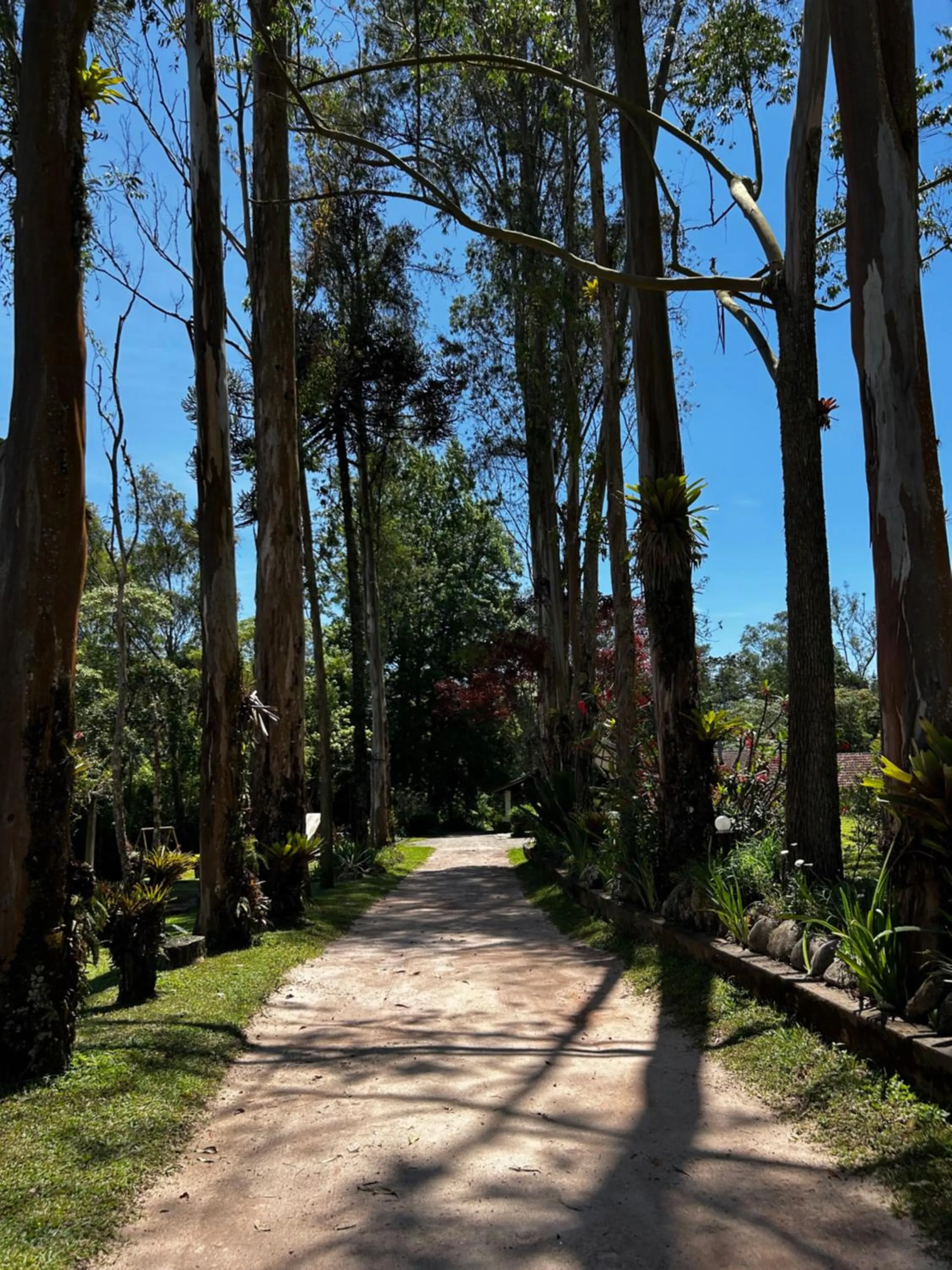 Spring in Hotel Refazenda