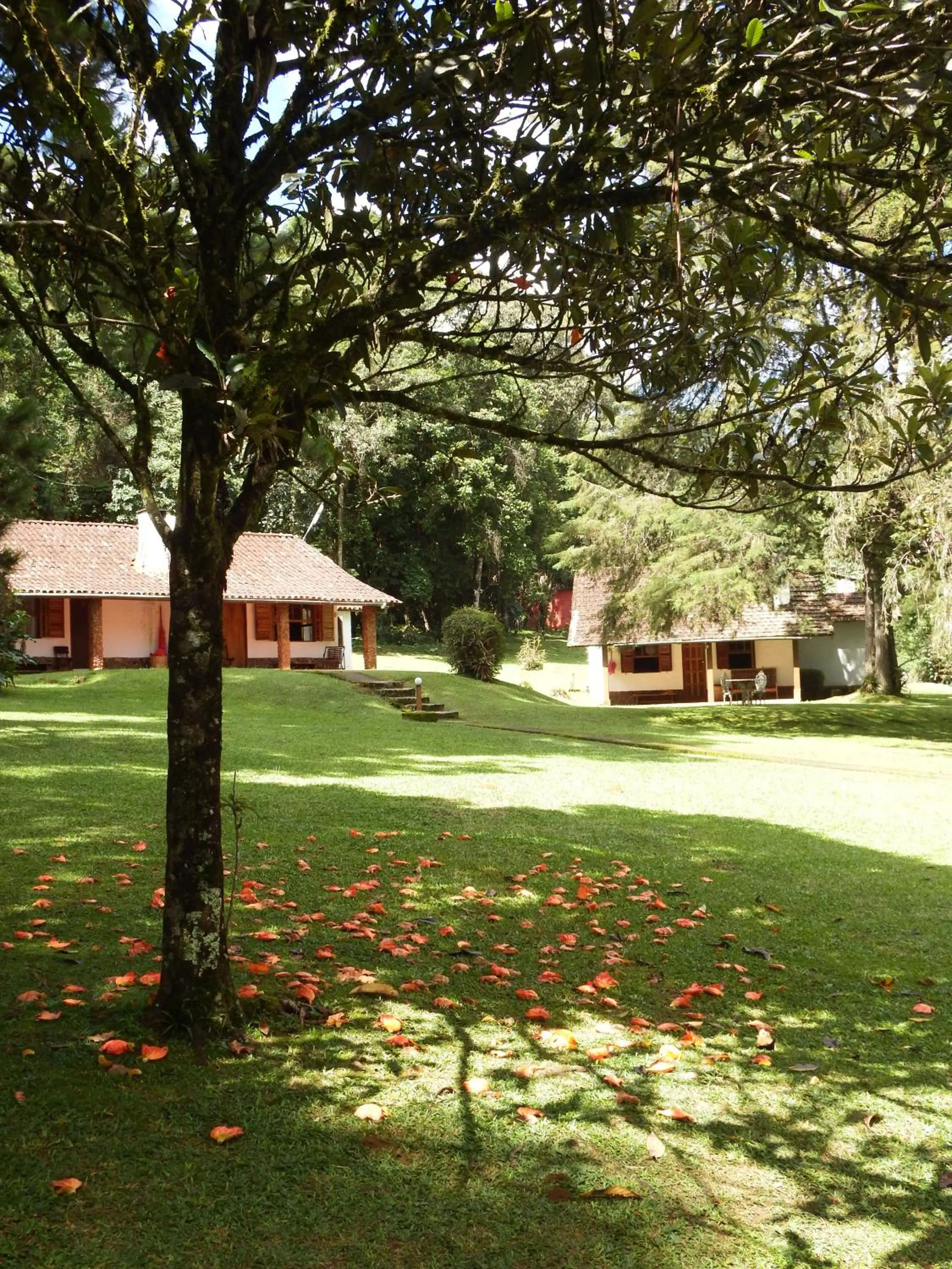 Garden in Hotel Refazenda
