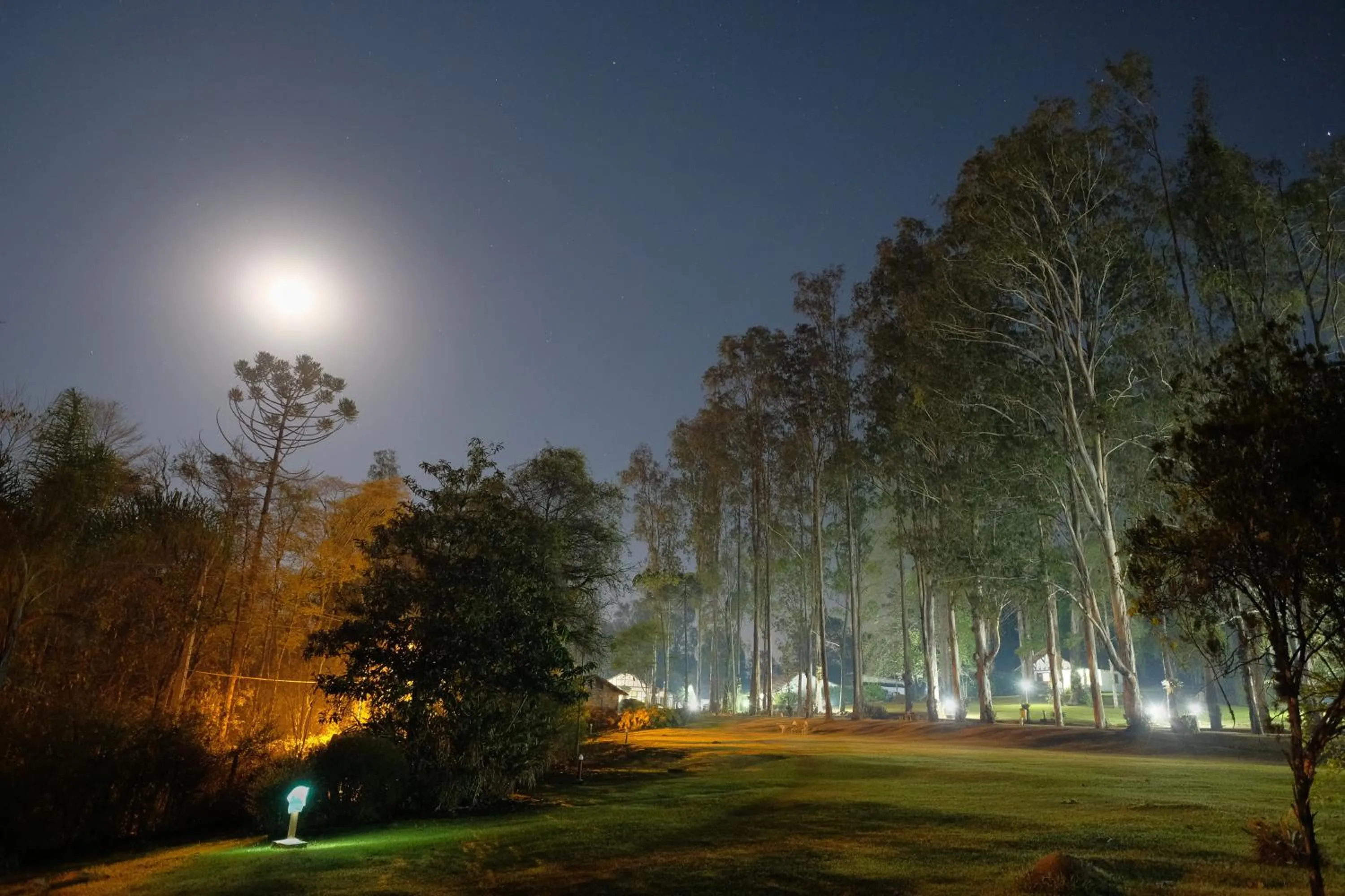 Night in Hotel Refazenda