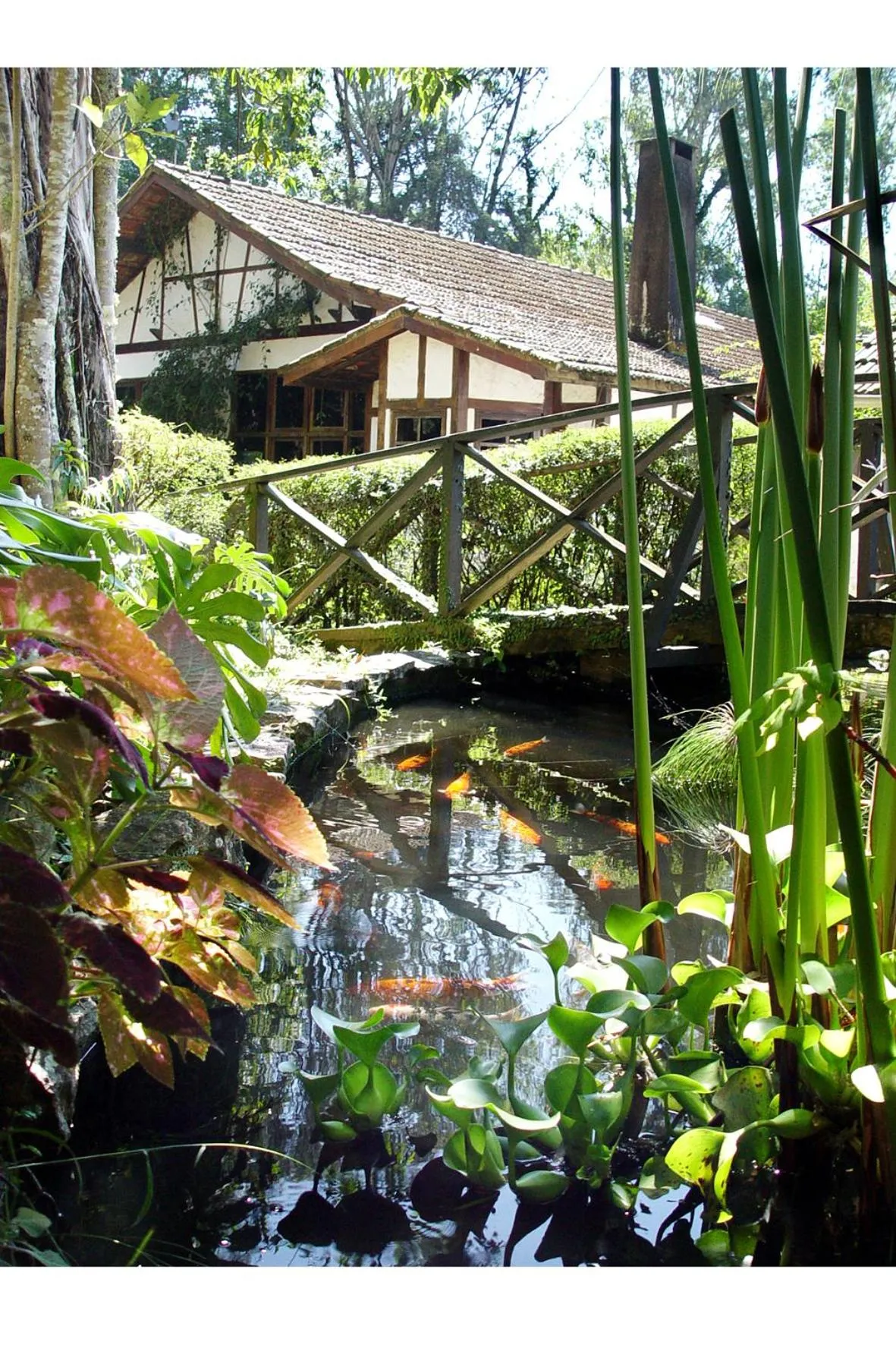 Day in Hotel Refazenda