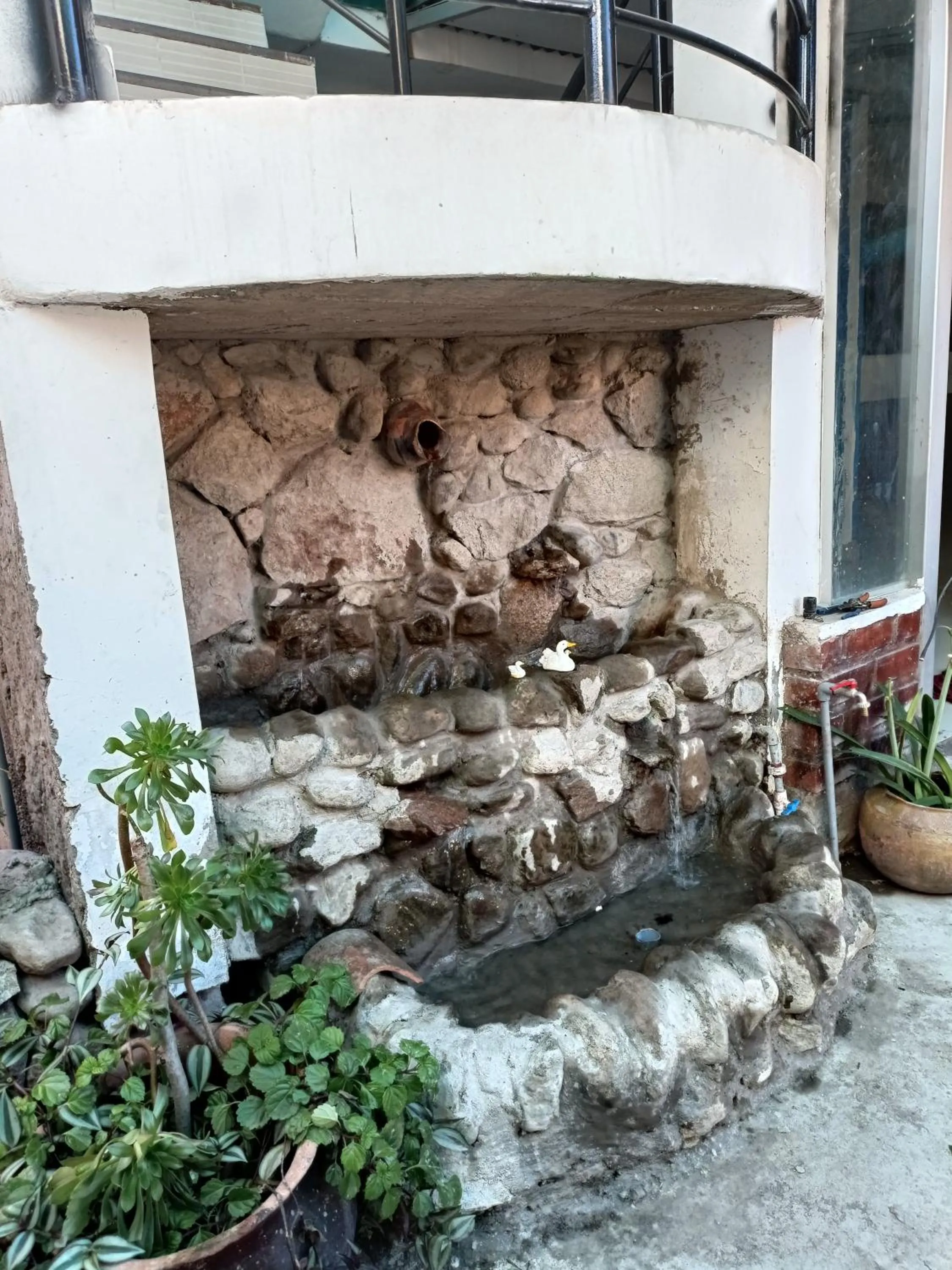 Garden in Hostal Ayllu con cochera