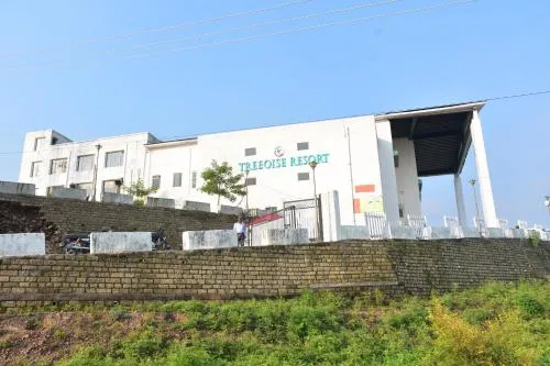 Treeoise Resort