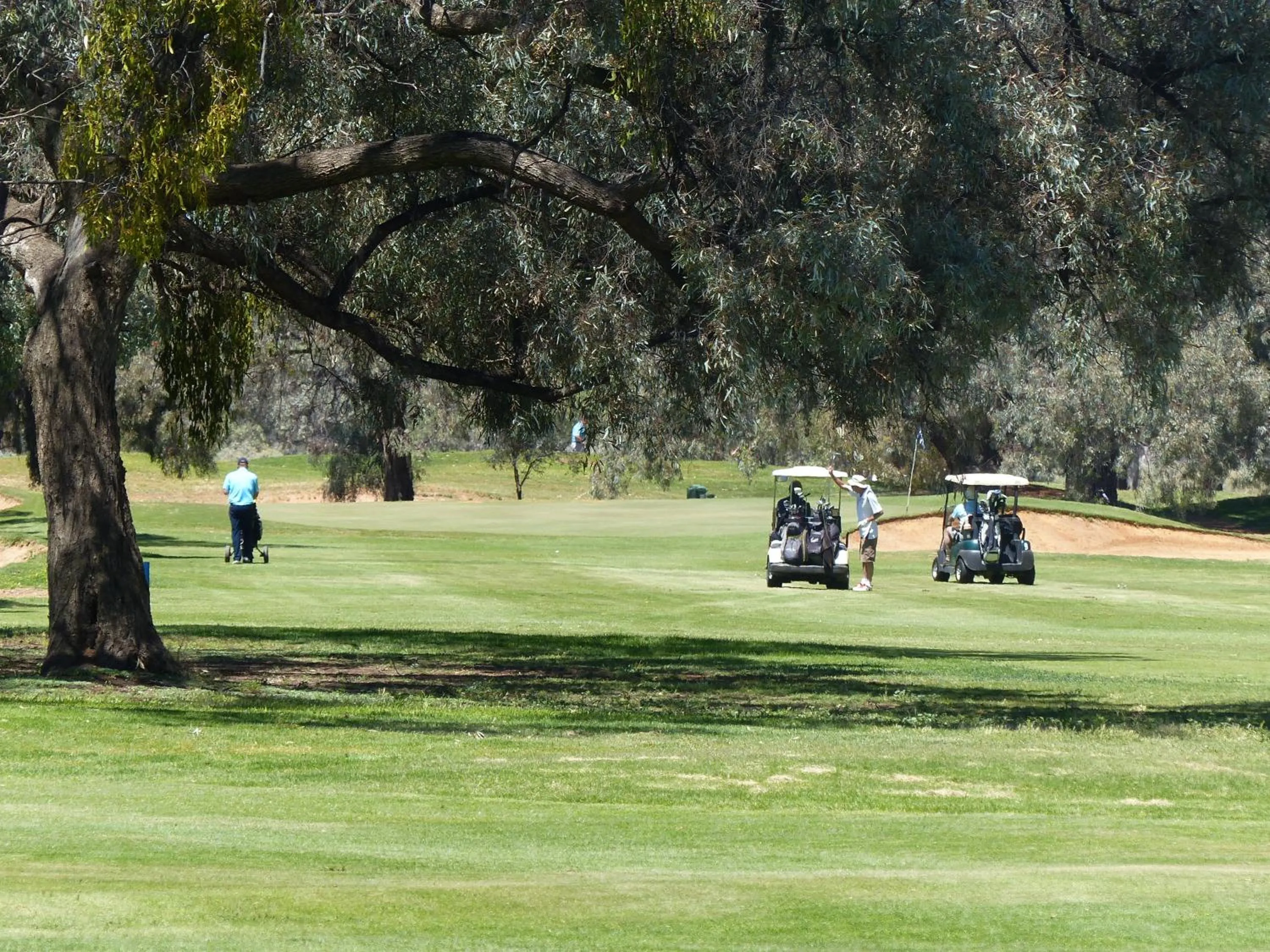 Golfcourse in Renmark Country Club