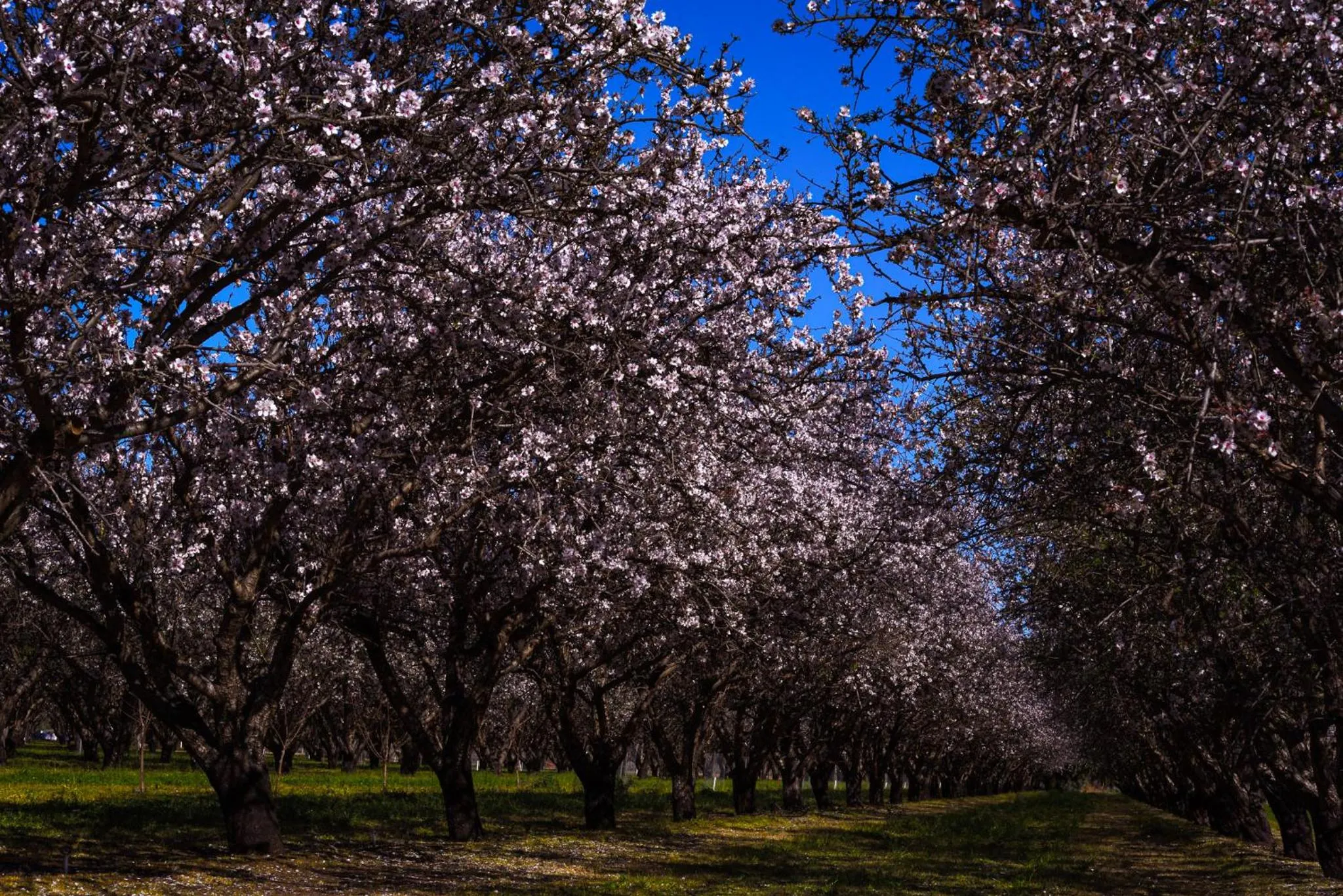 Location in Renmark Country Club