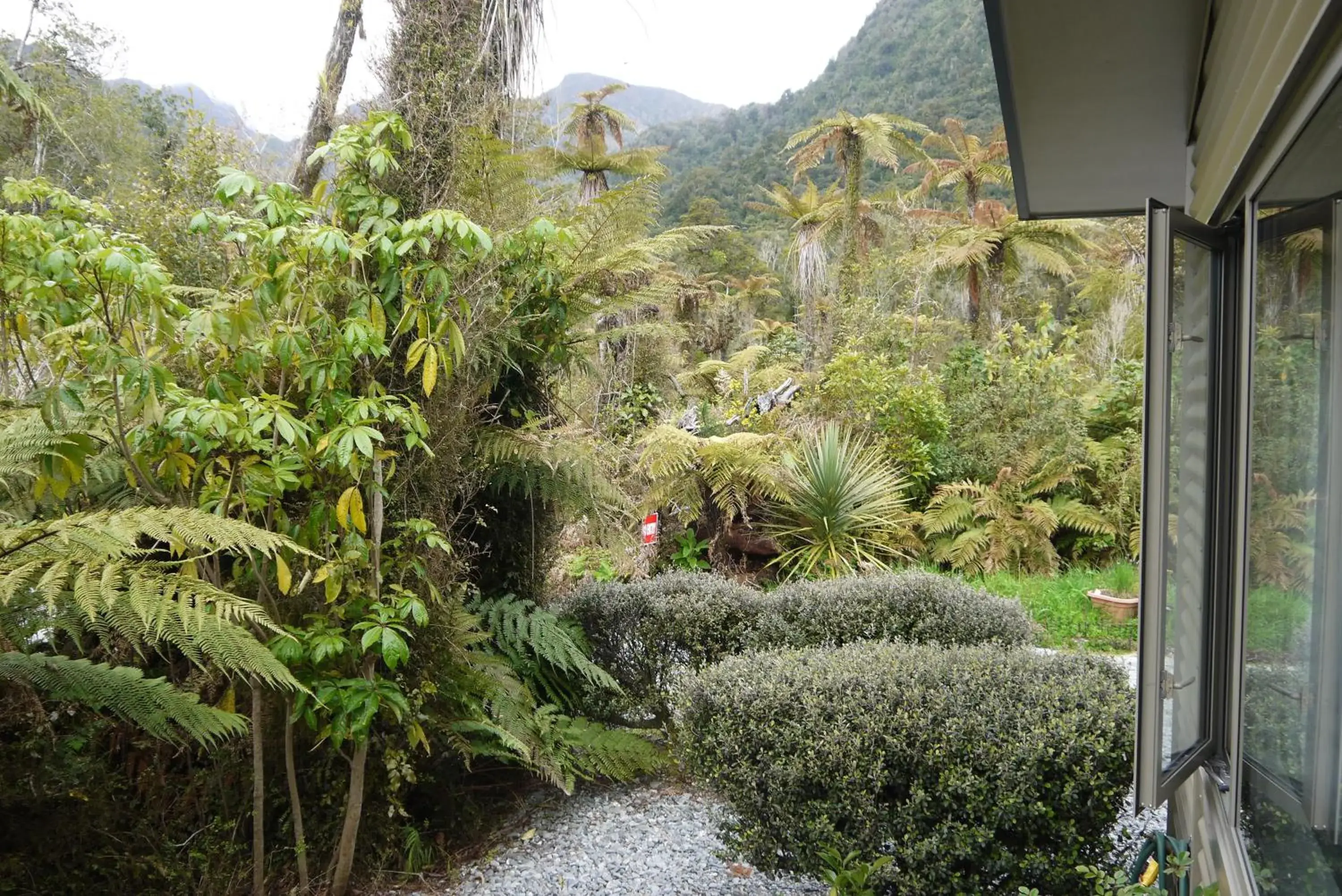 Garden view in Franz Josef Treetops Garden view in Franz Josef Treetops