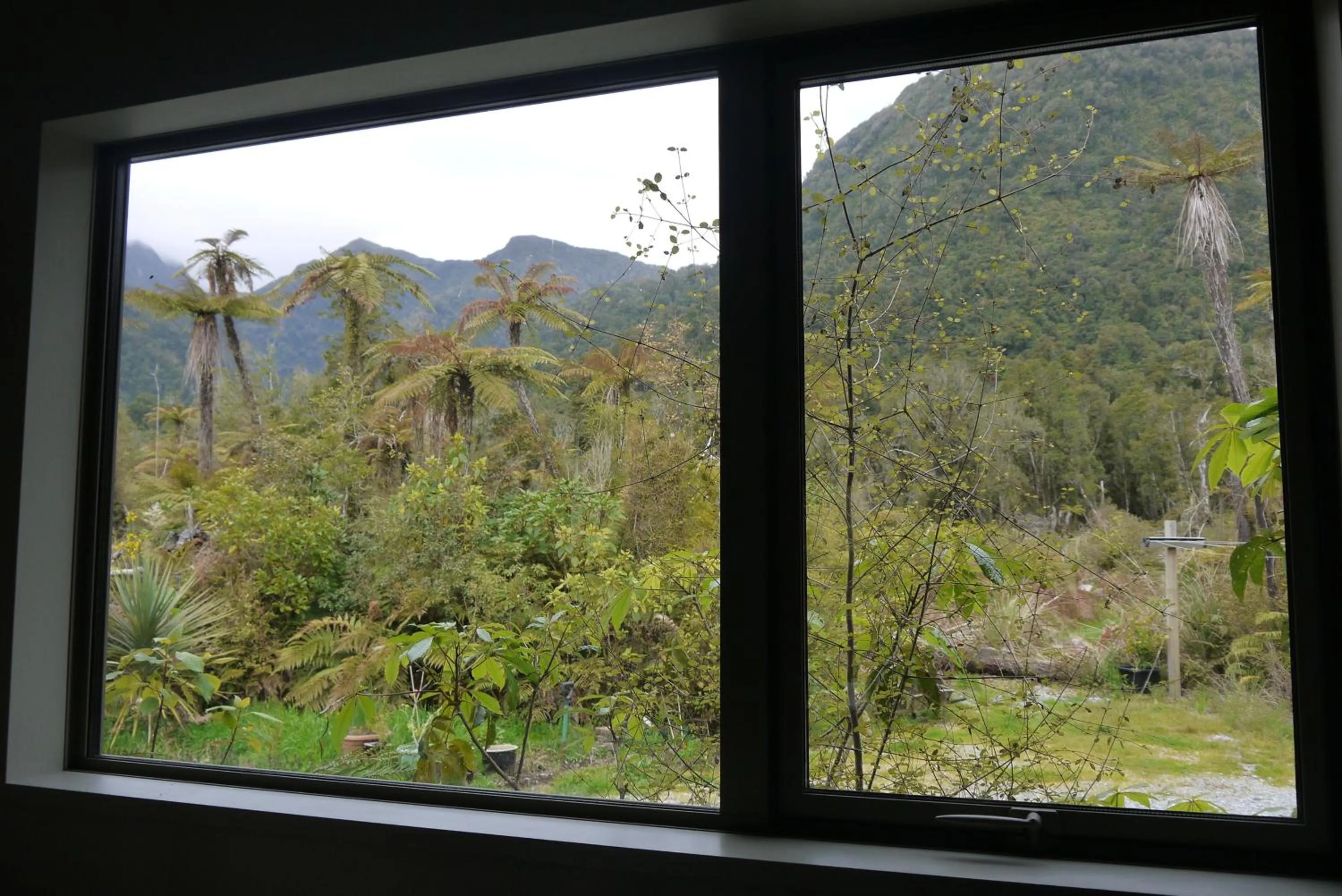 Mountain view in Franz Josef Treetops