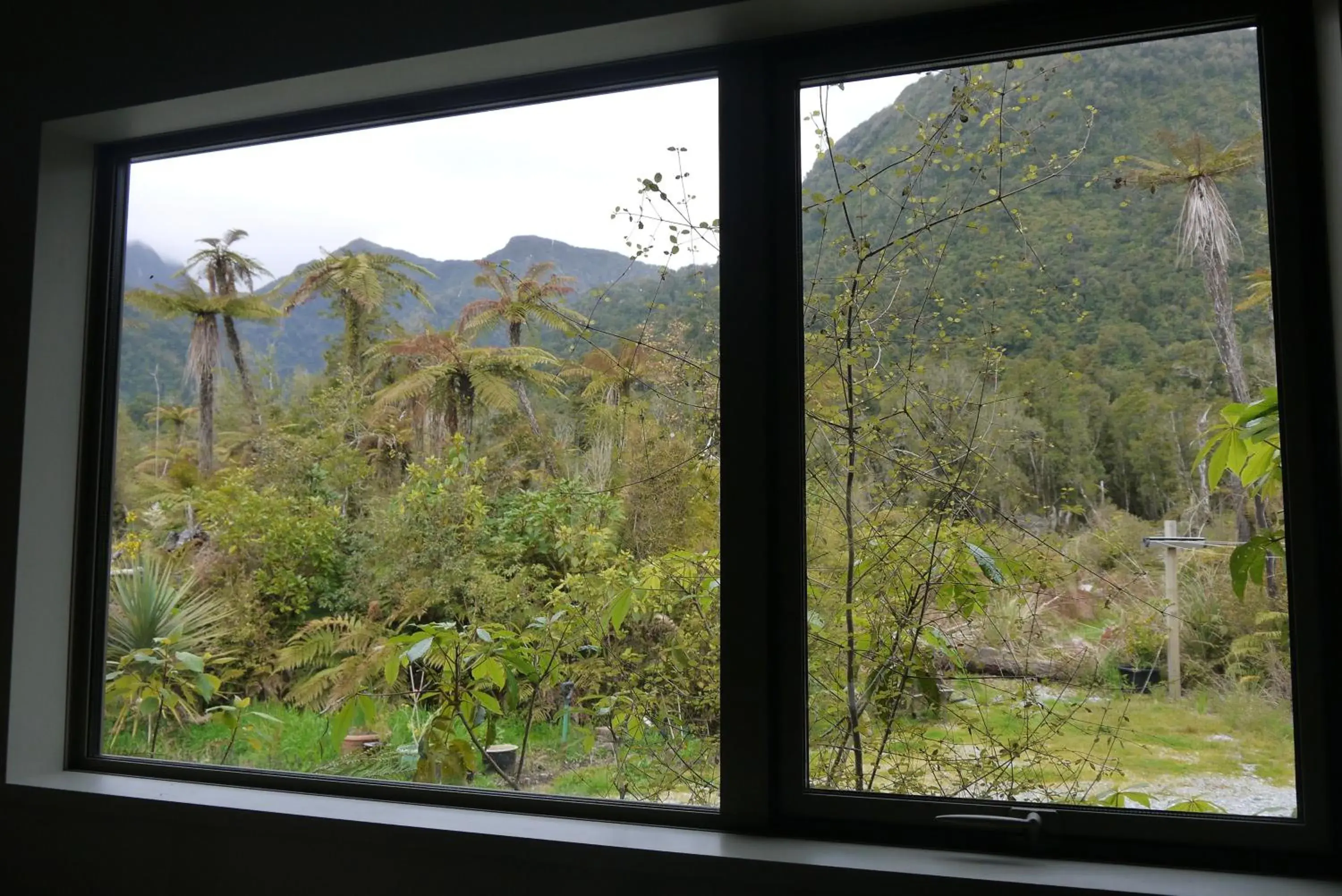 Mountain view in Franz Josef Treetops Mountain view in Franz Josef Treetops